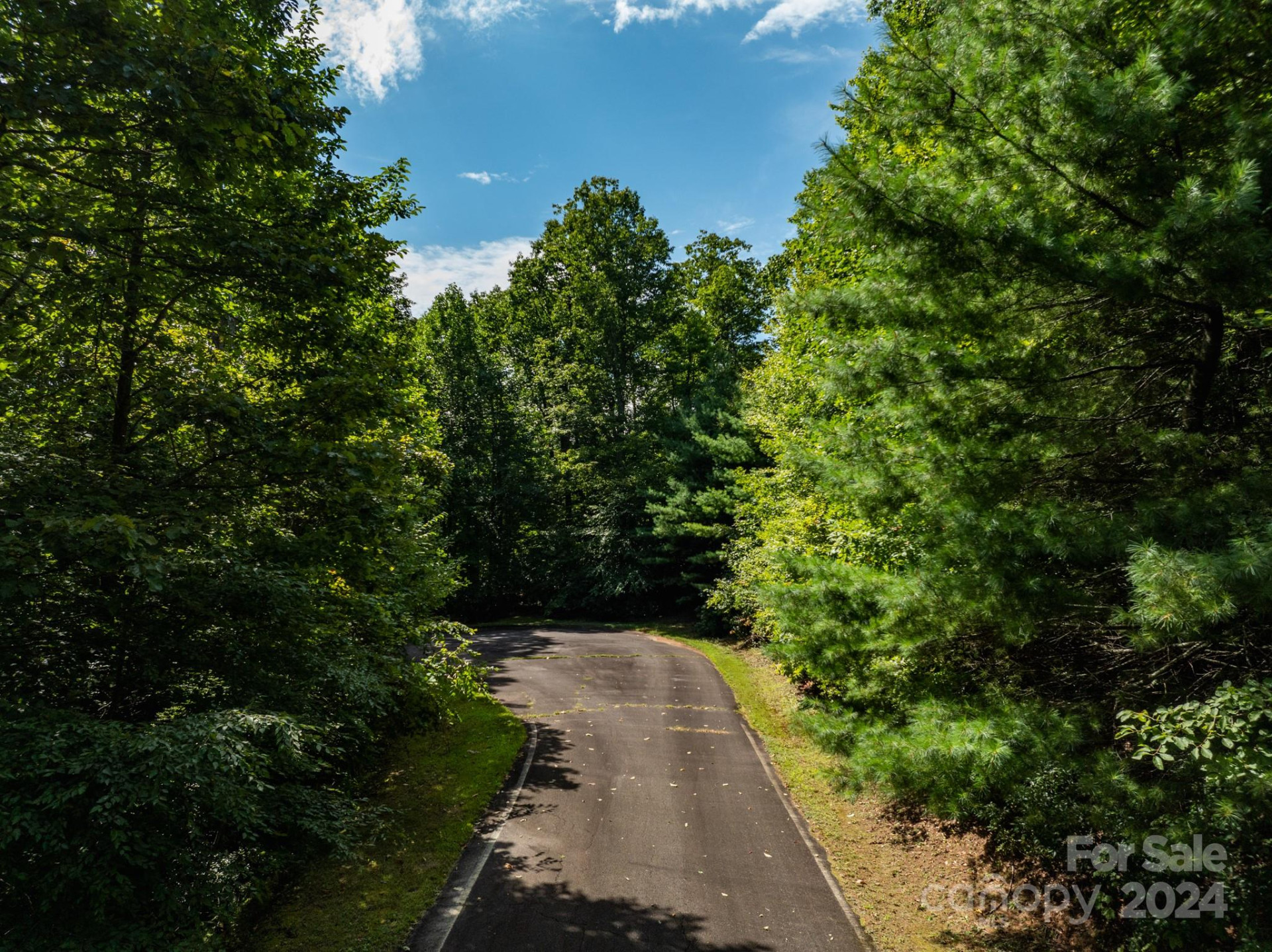 Lot 25 Panther Mountain Road #CVN-CVN-025 - Photo 23