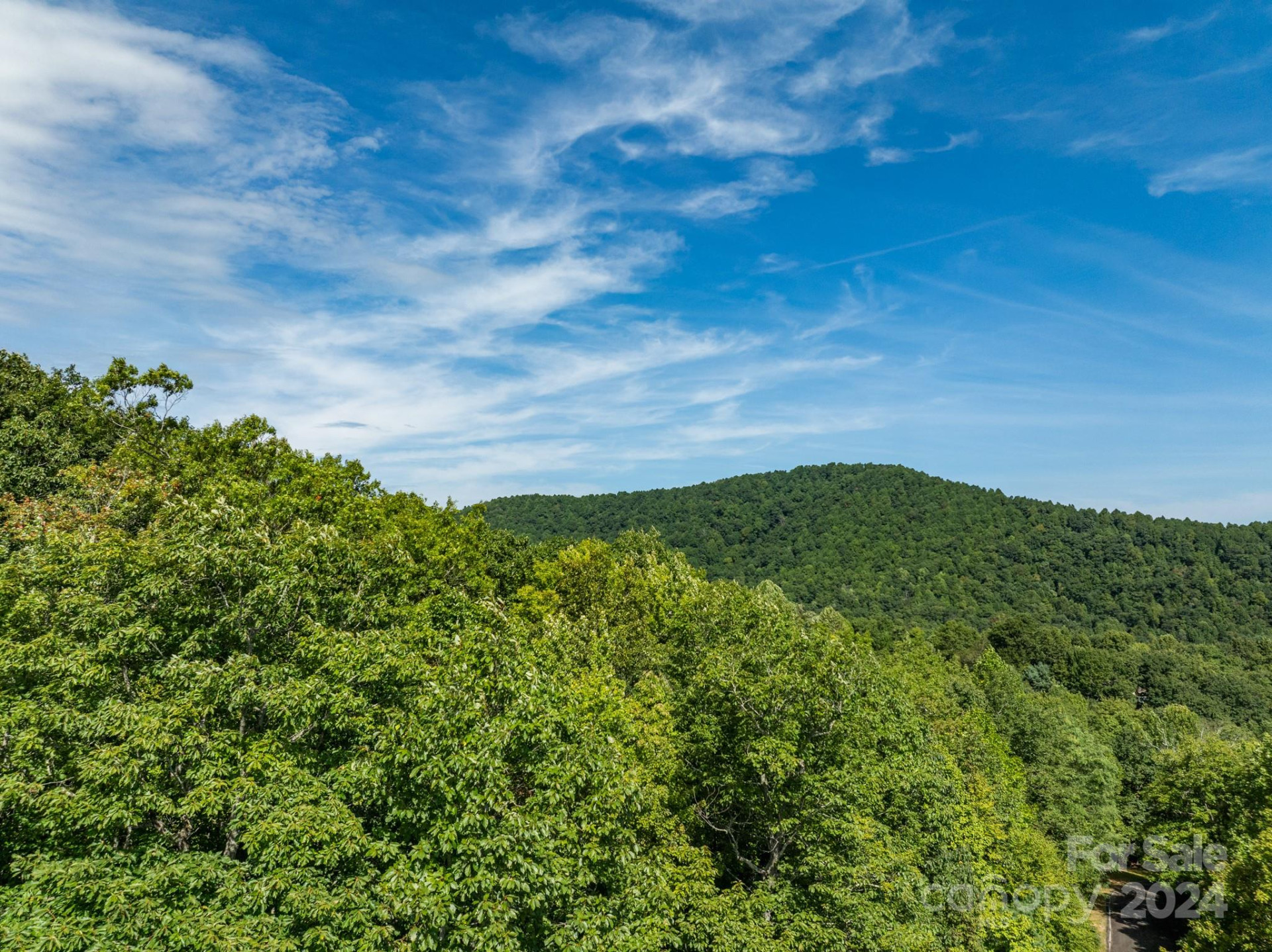 Lot 25 Panther Mountain Road #CVN-CVN-025 - Photo 24