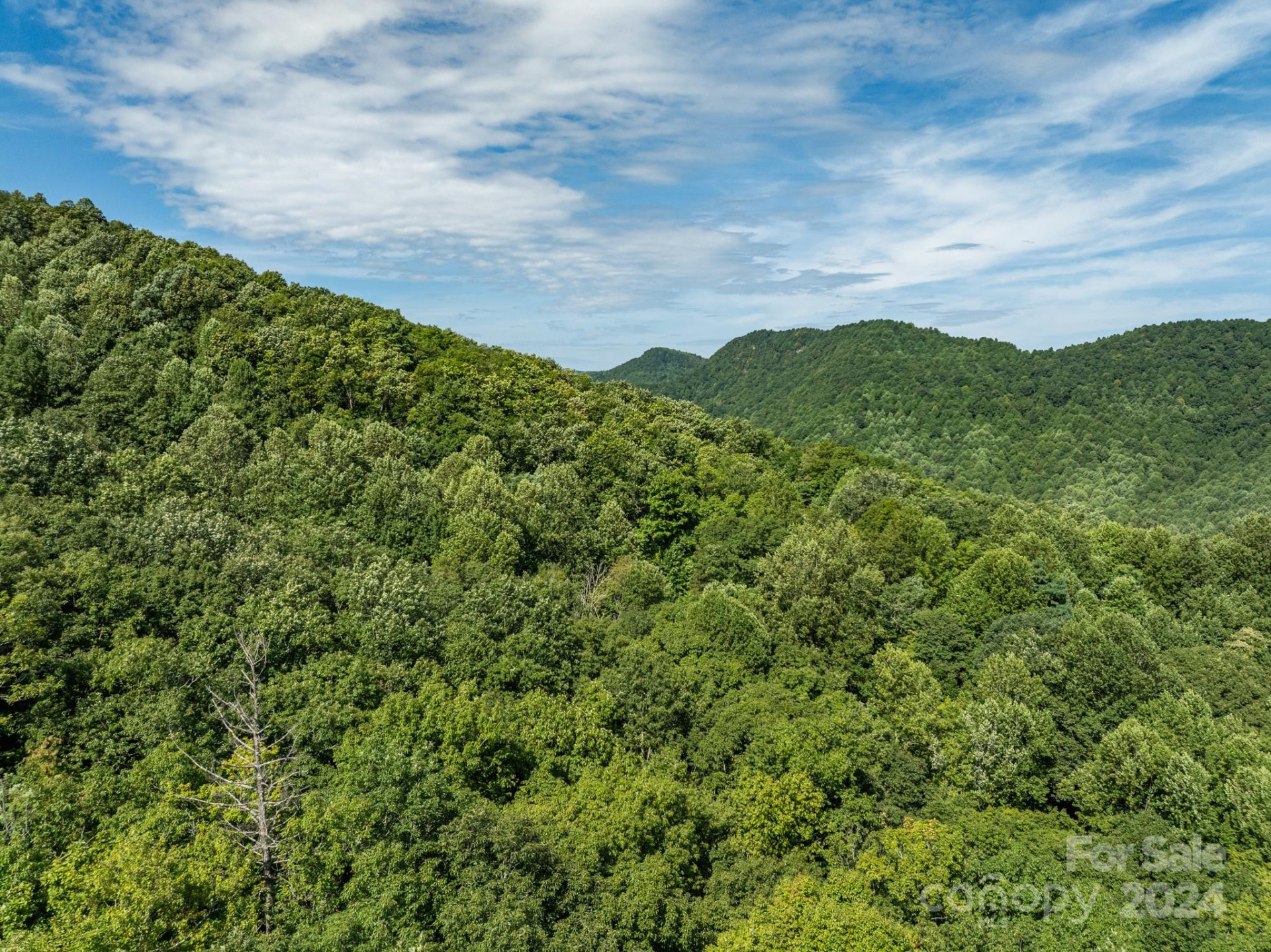 Lot 25 Panther Mountain Road #CVN-CVN-025 - Photo 25