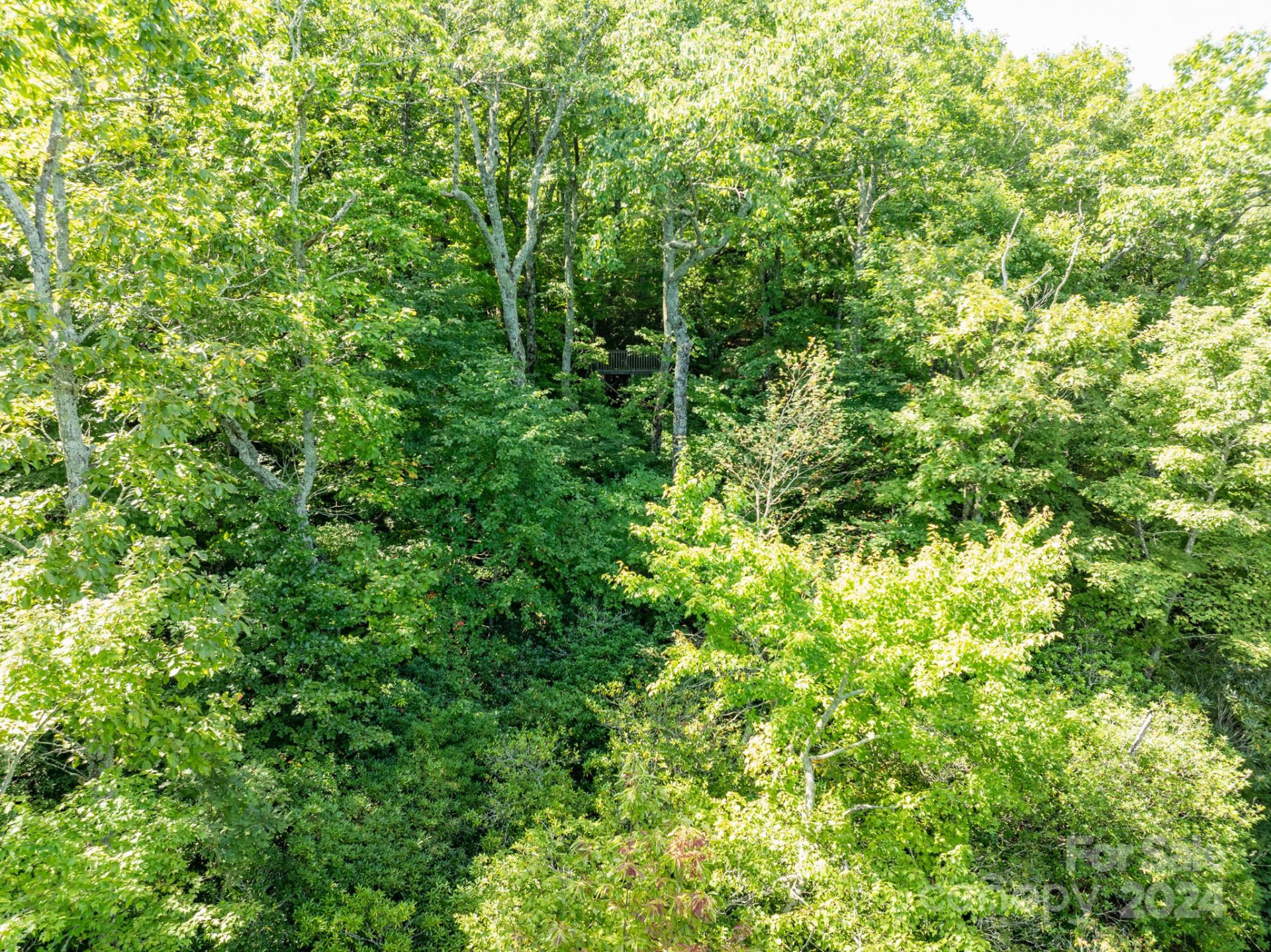 Lot 25 Panther Mountain Road #CVN-CVN-025 - Photo 26