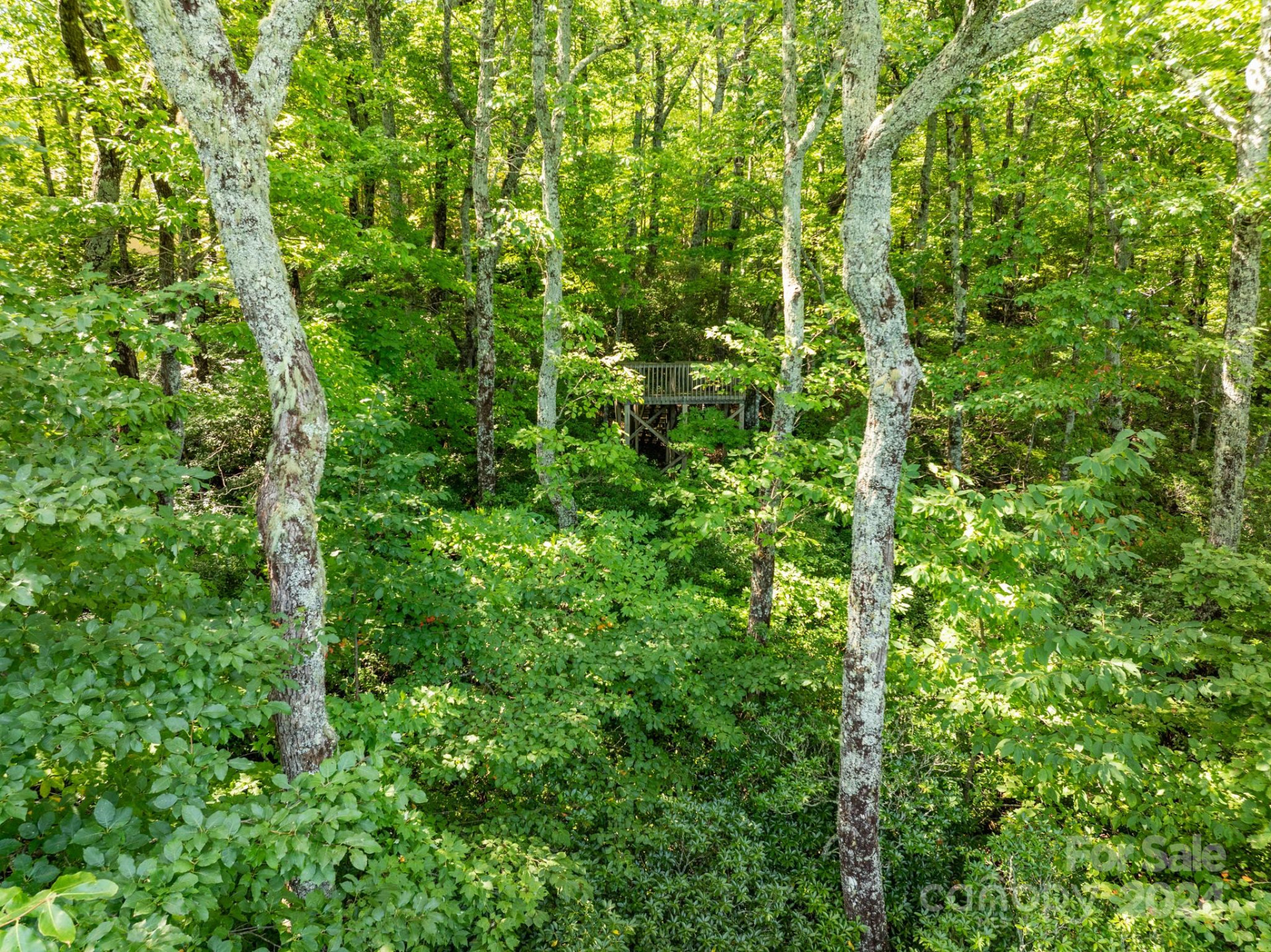 Lot 25 Panther Mountain Road #CVN-CVN-025 - Photo 27