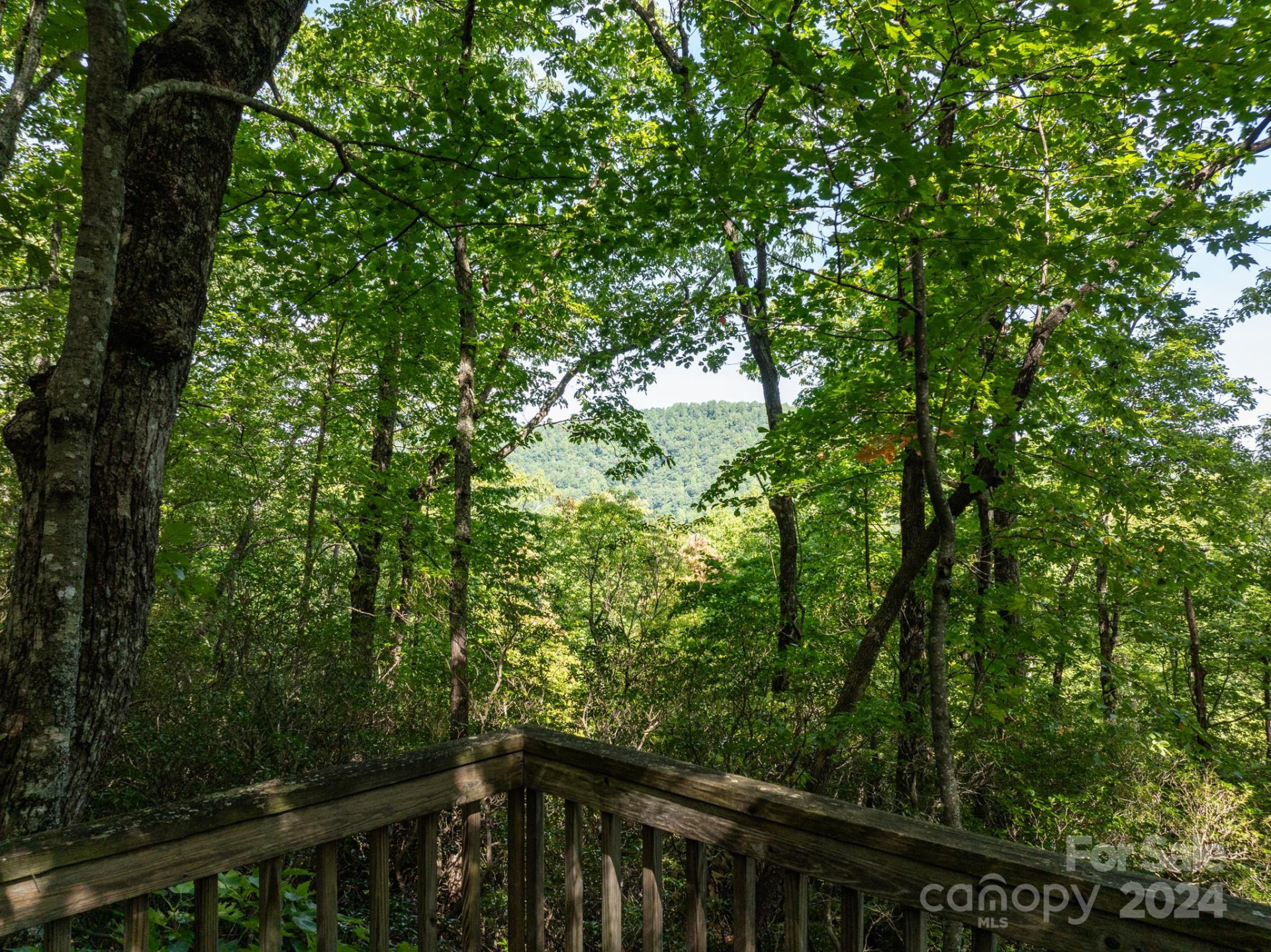 Lot 25 Panther Mountain Road #CVN-CVN-025 - Photo 28