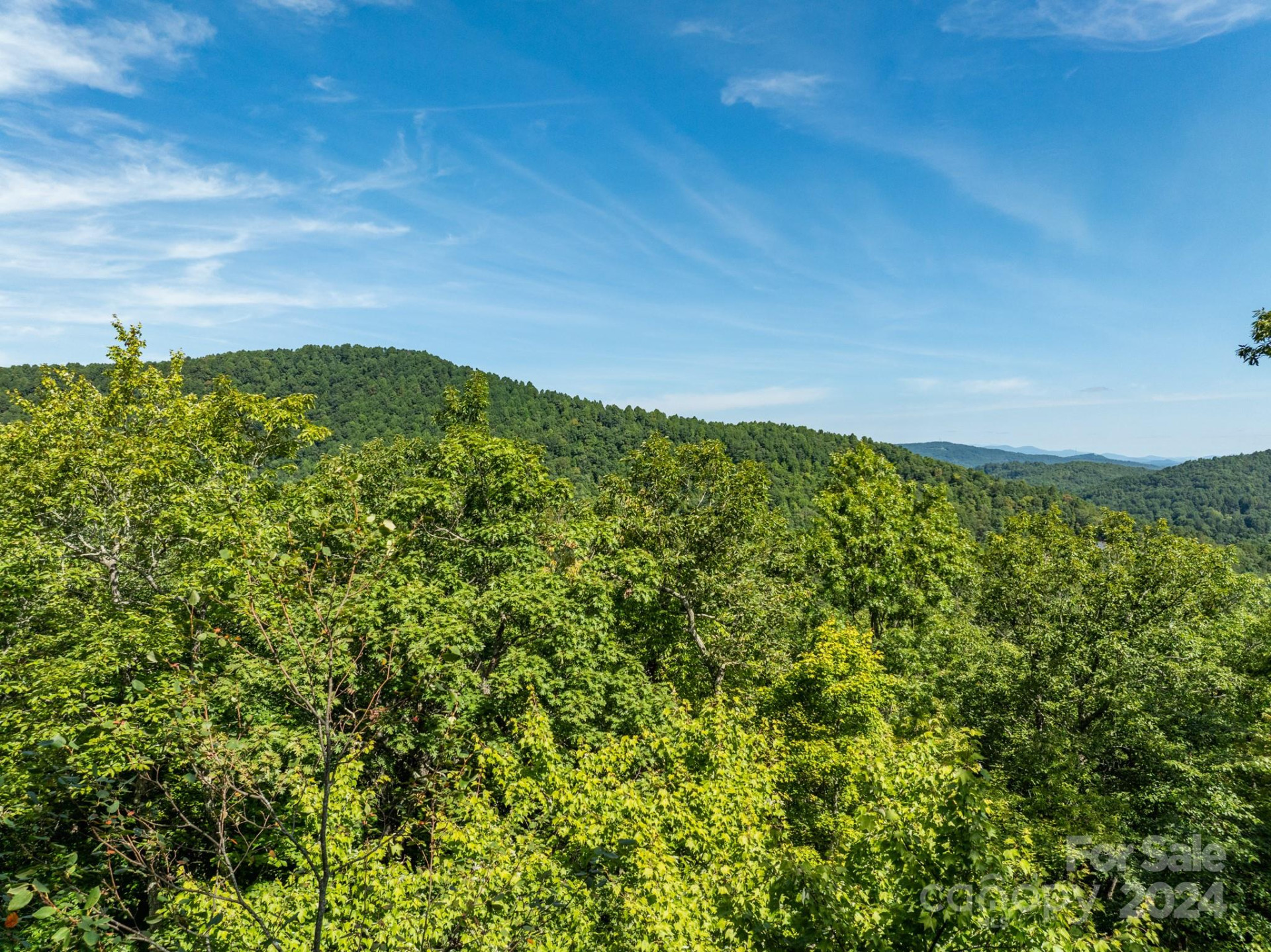 Lot 25 Panther Mountain Road #CVN-CVN-025 - Photo 29