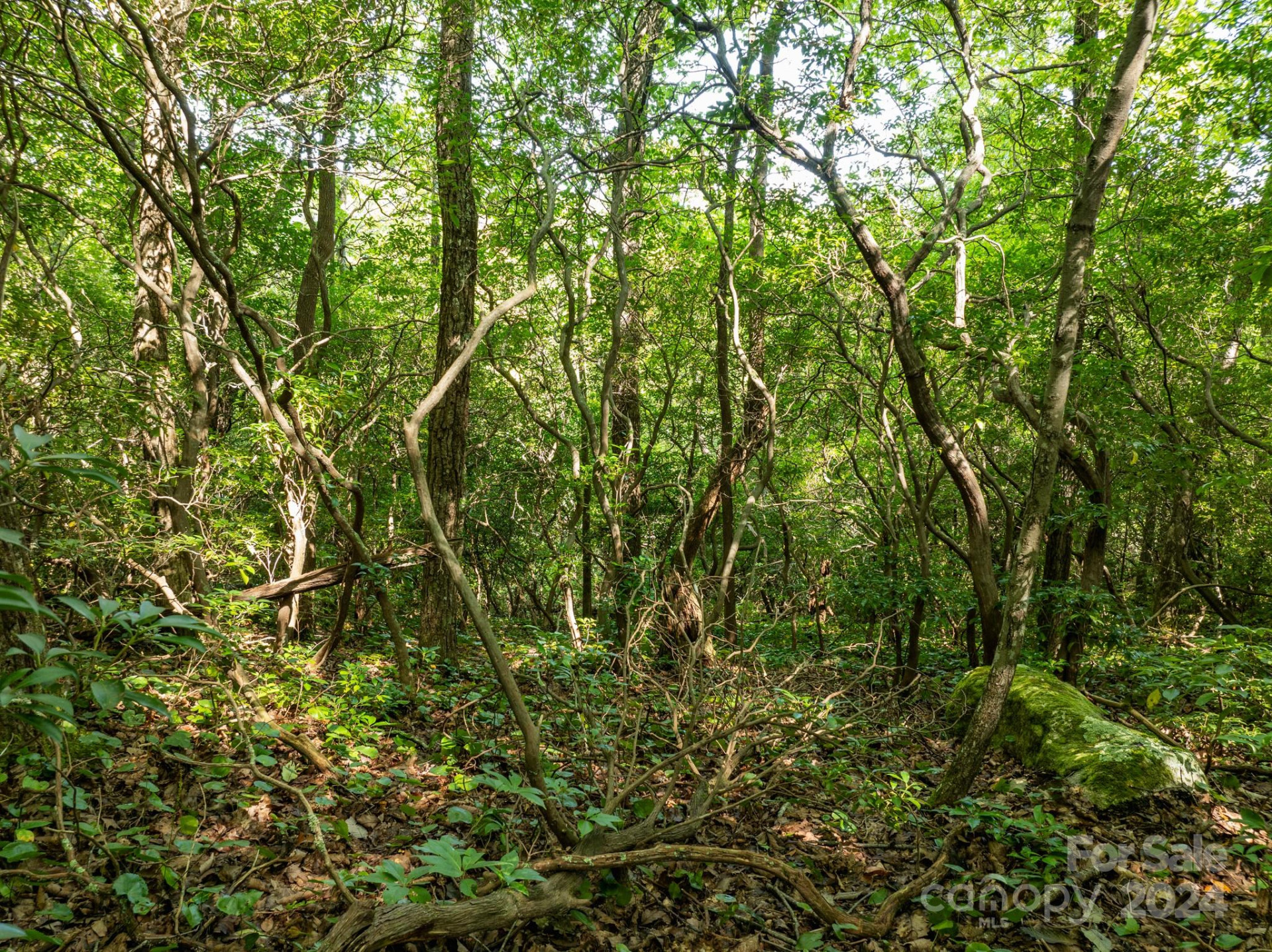 Lot 25 Panther Mountain Road #CVN-CVN-025 - Photo 31