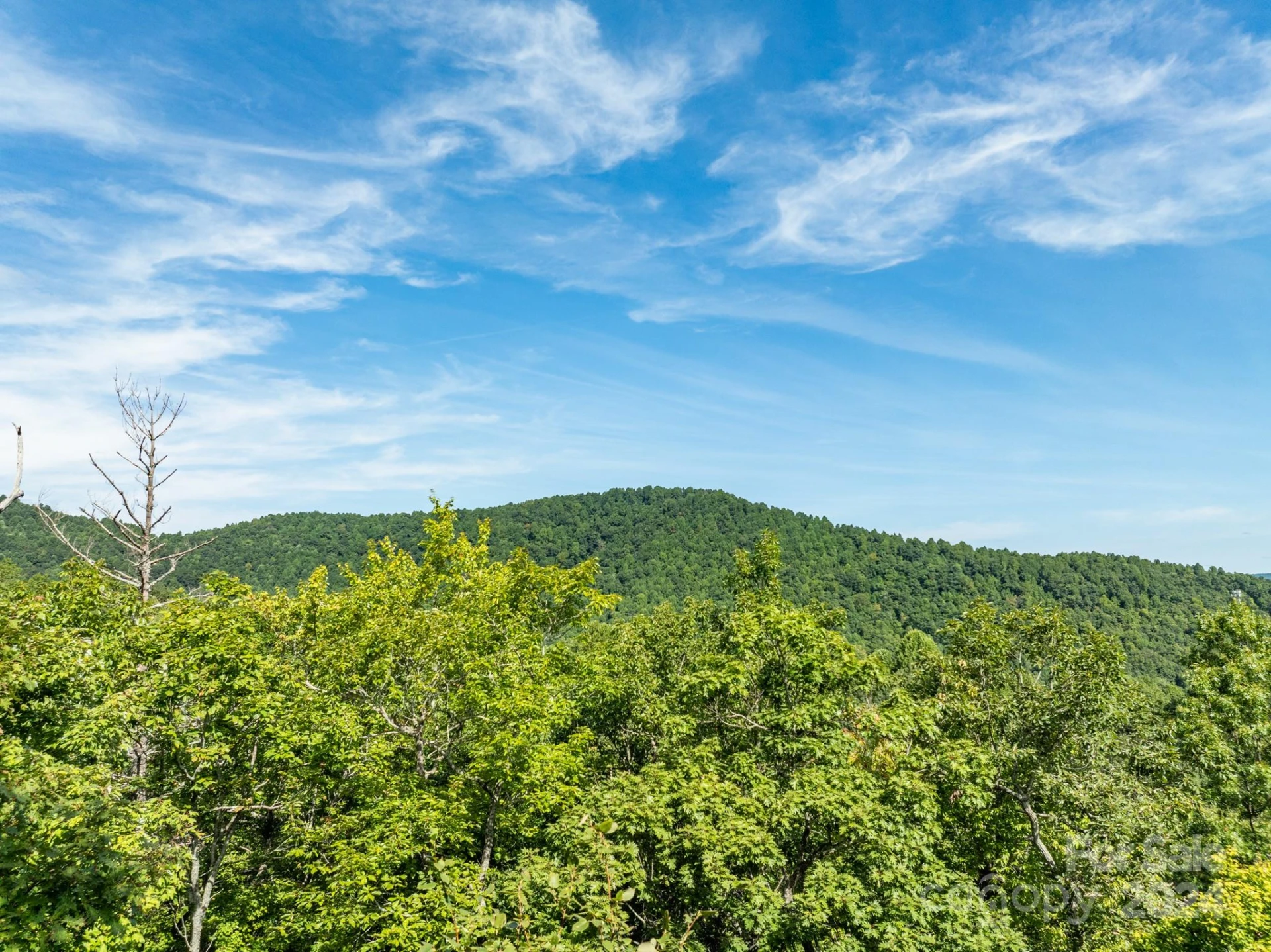 Lot 25 Panther Mountain Road #CVN-CVN-025 - Photo 6