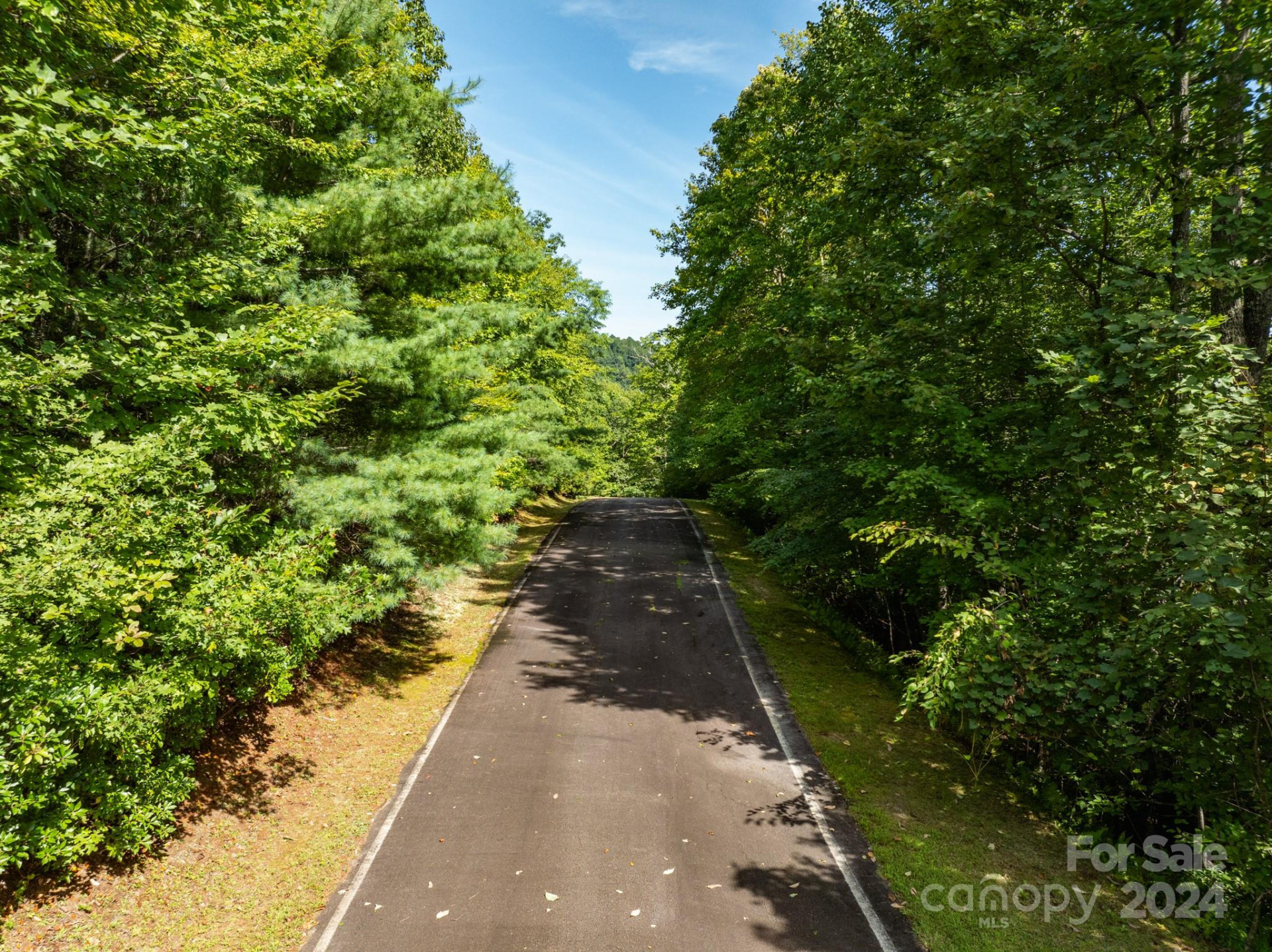 Lot 25 Panther Mountain Road #CVN-CVN-025 - Photo 7