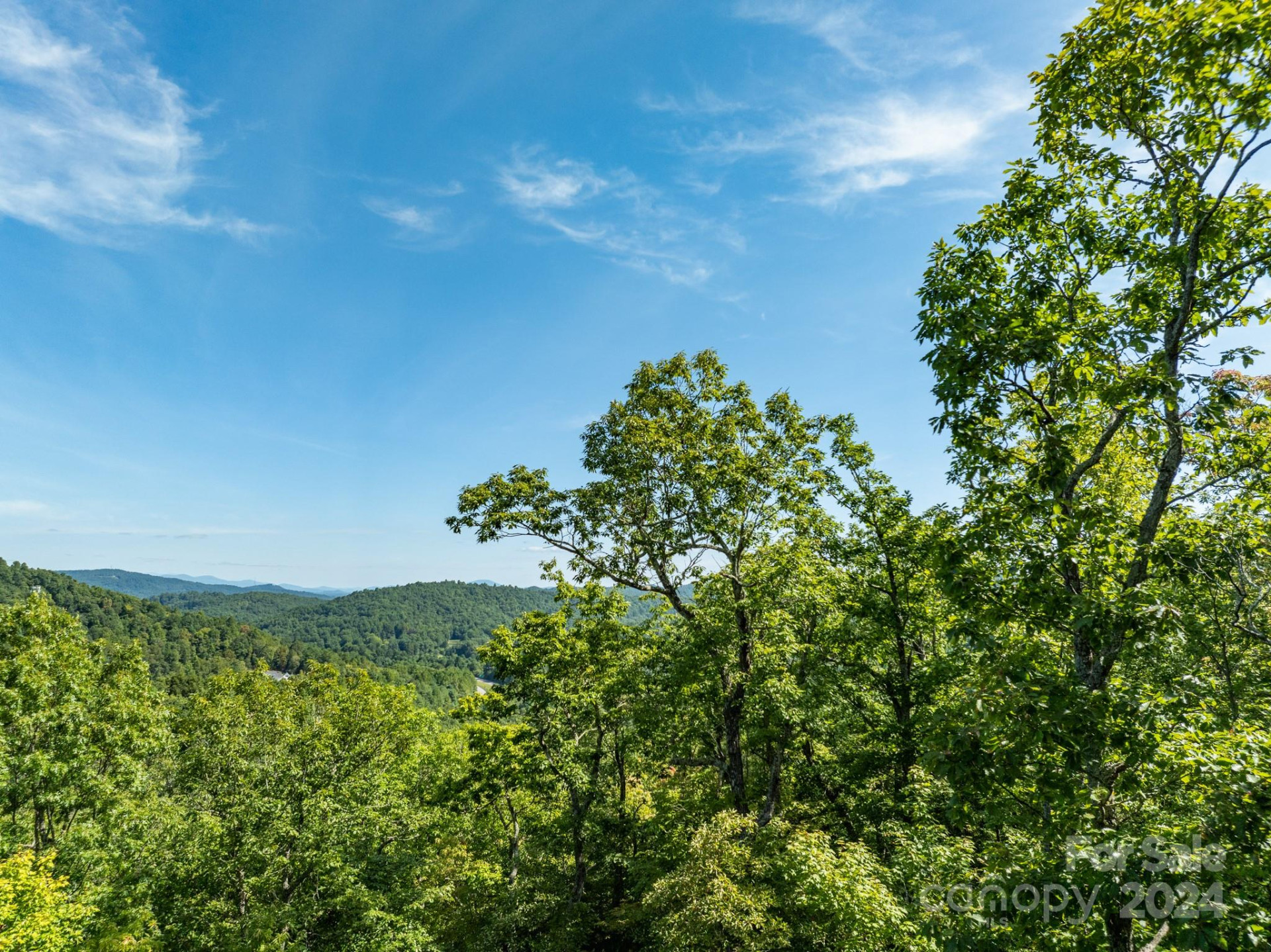 Lot 25 Panther Mountain Road #CVN-CVN-025 - Photo 8