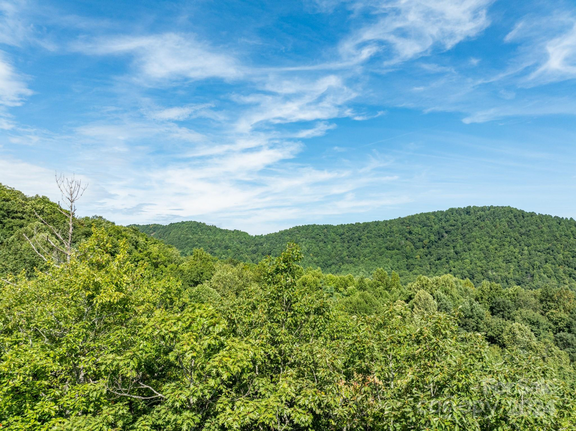 Lot 25 Panther Mountain Road #CVN-CVN-025 - Photo 9