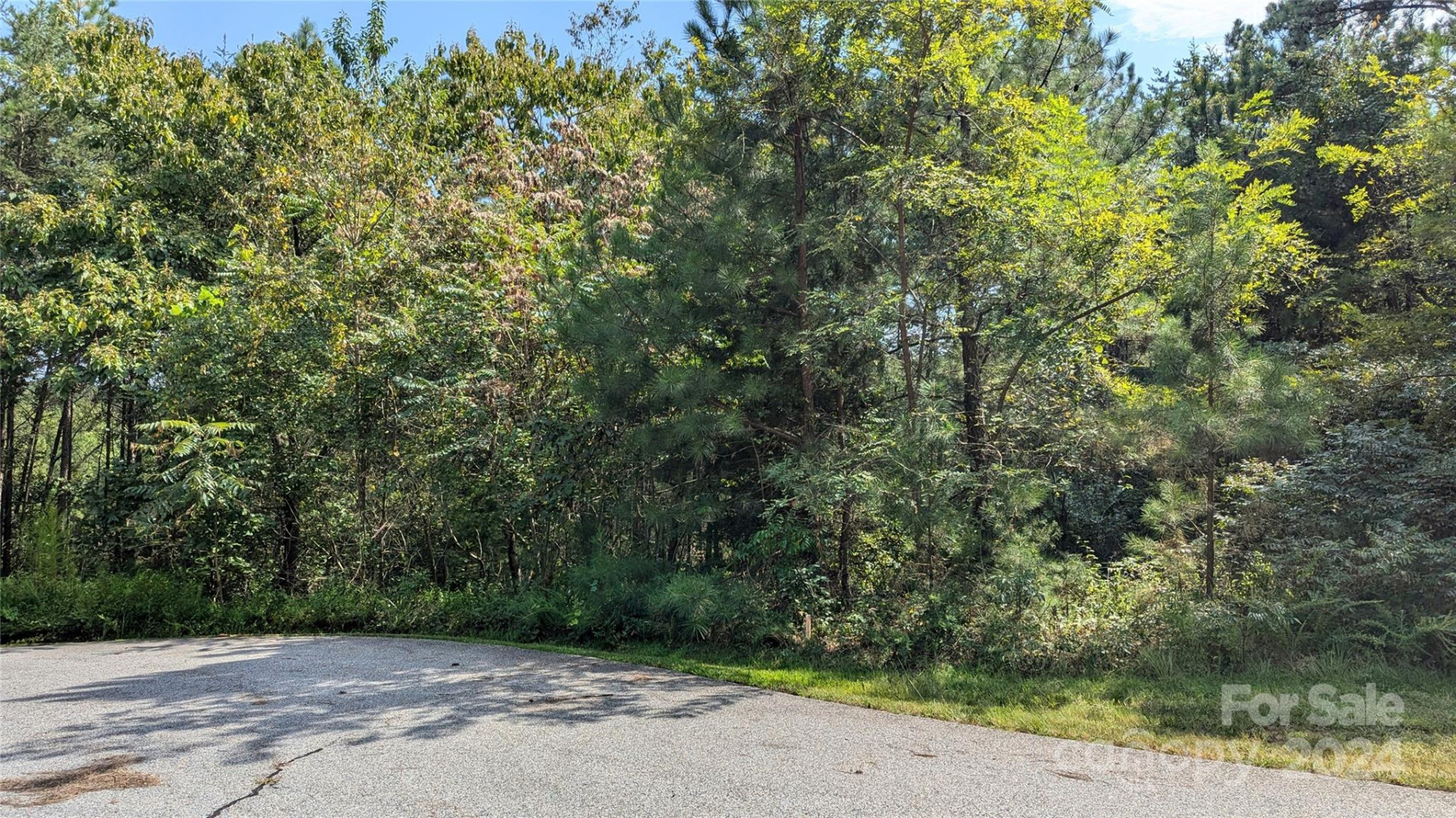 14 Spring Hollow Road - Photo 4