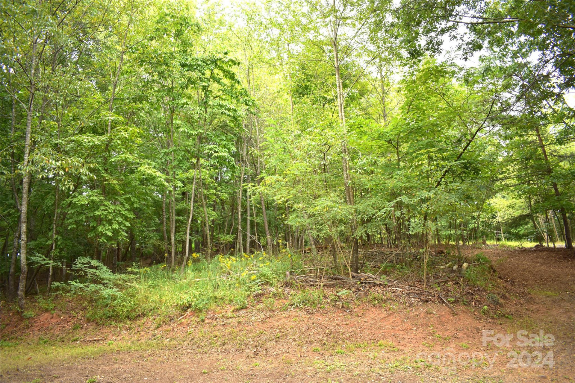 0 Ridgeview Circle #20 & 21 - Photo 2