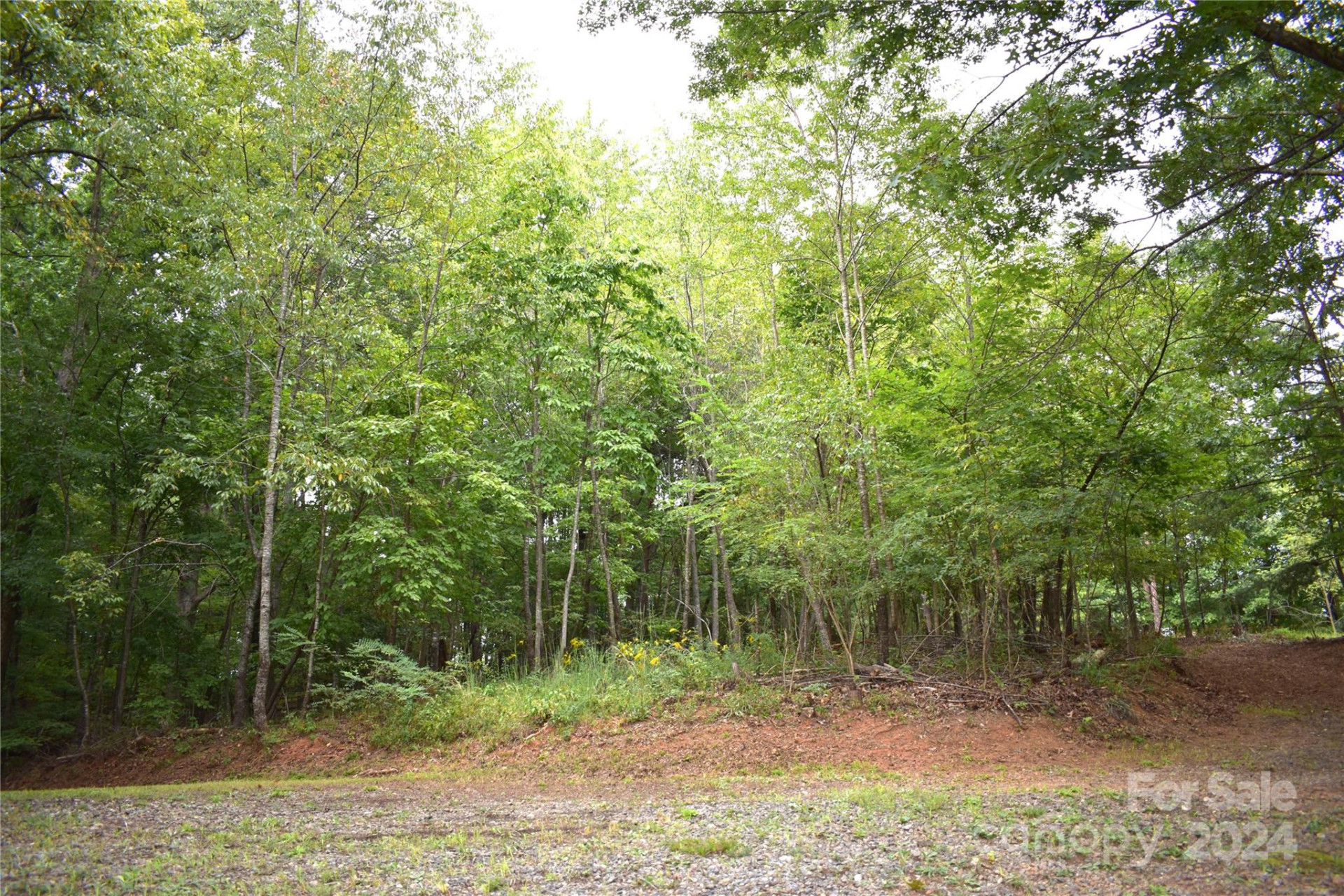 0 Ridgeview Circle #20 & 21 - Photo 4