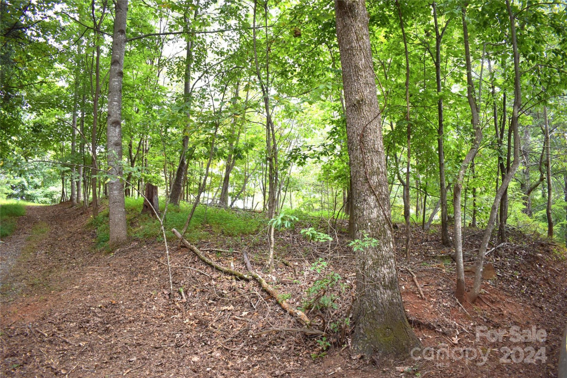 0 Ridgeview Circle #20 & 21 - Photo 5