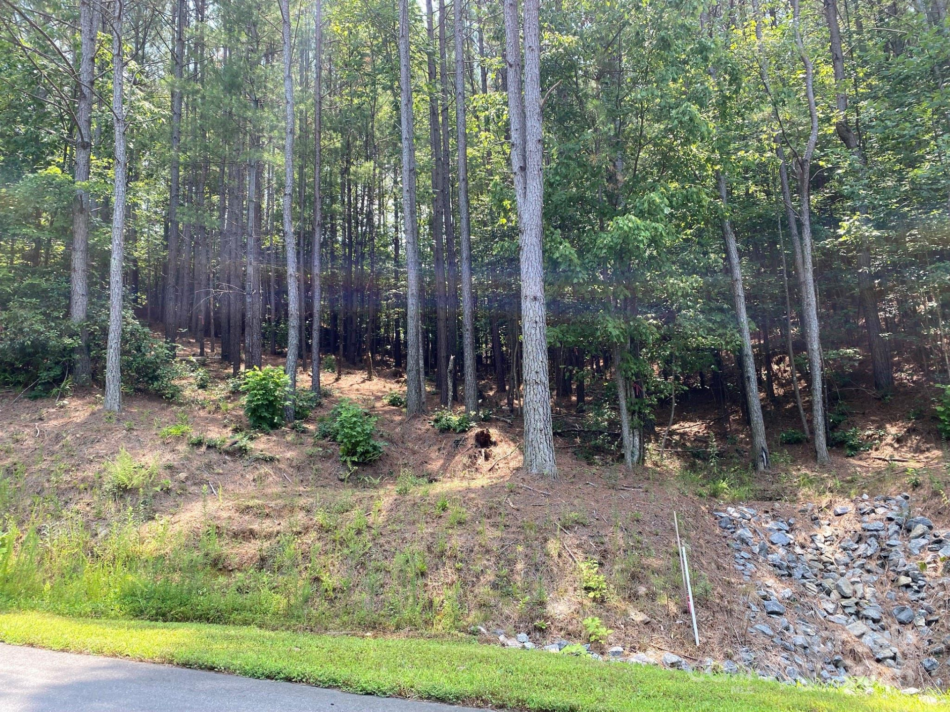 164 Settings Boulevard #32 - Photo 4