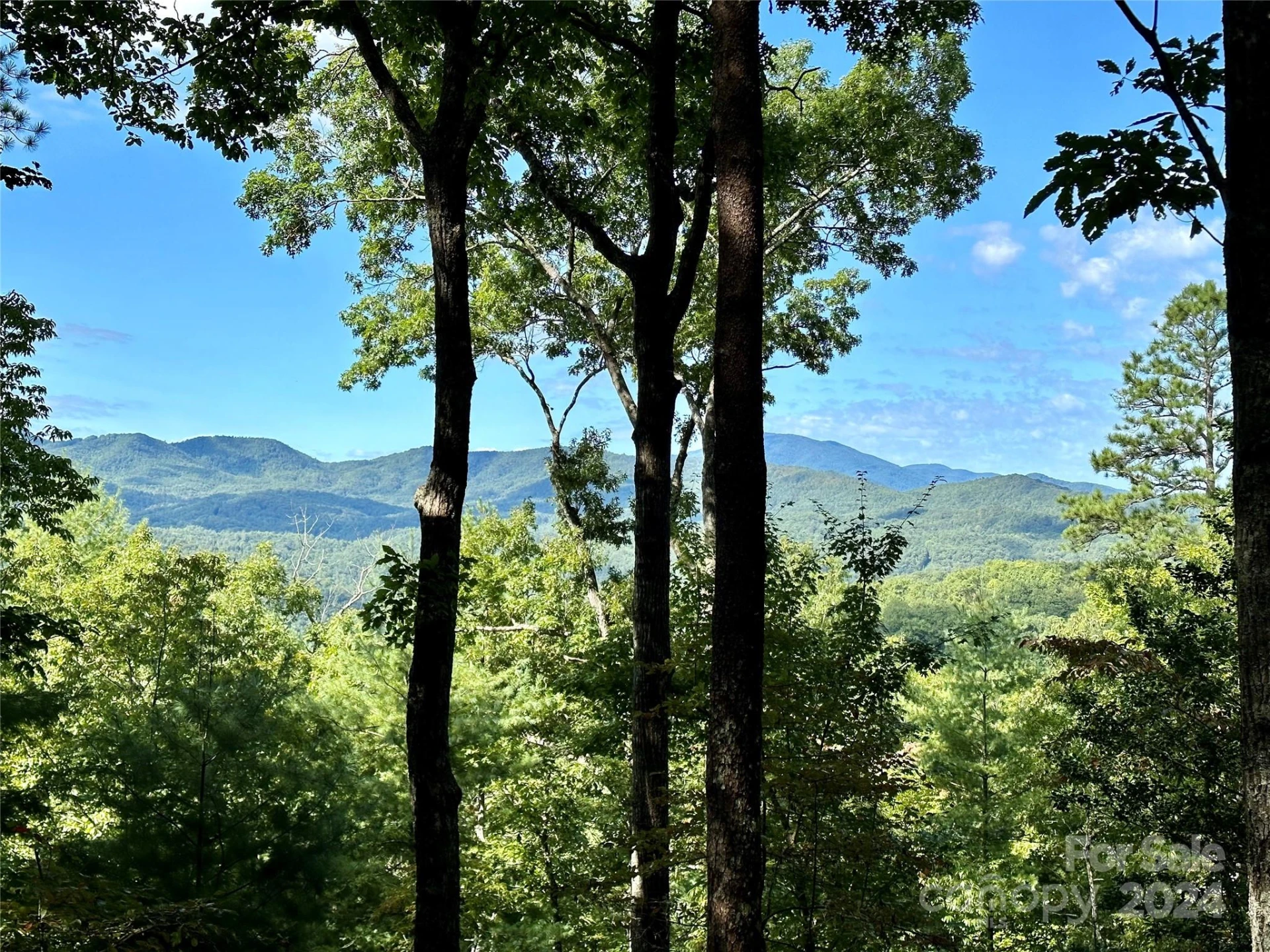 176 Winterberry Drive #17