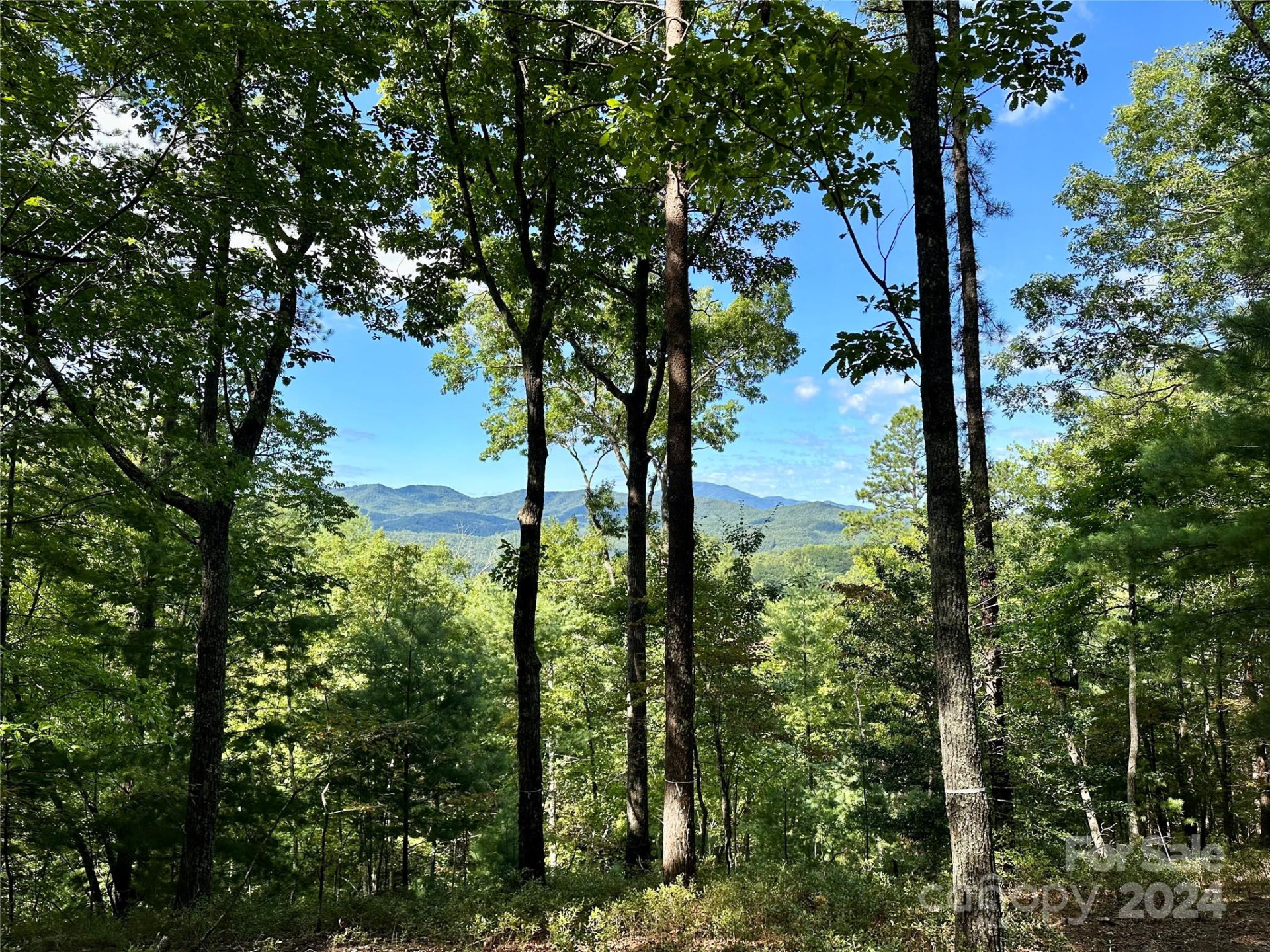 176 Winterberry Drive #17 - Photo 2