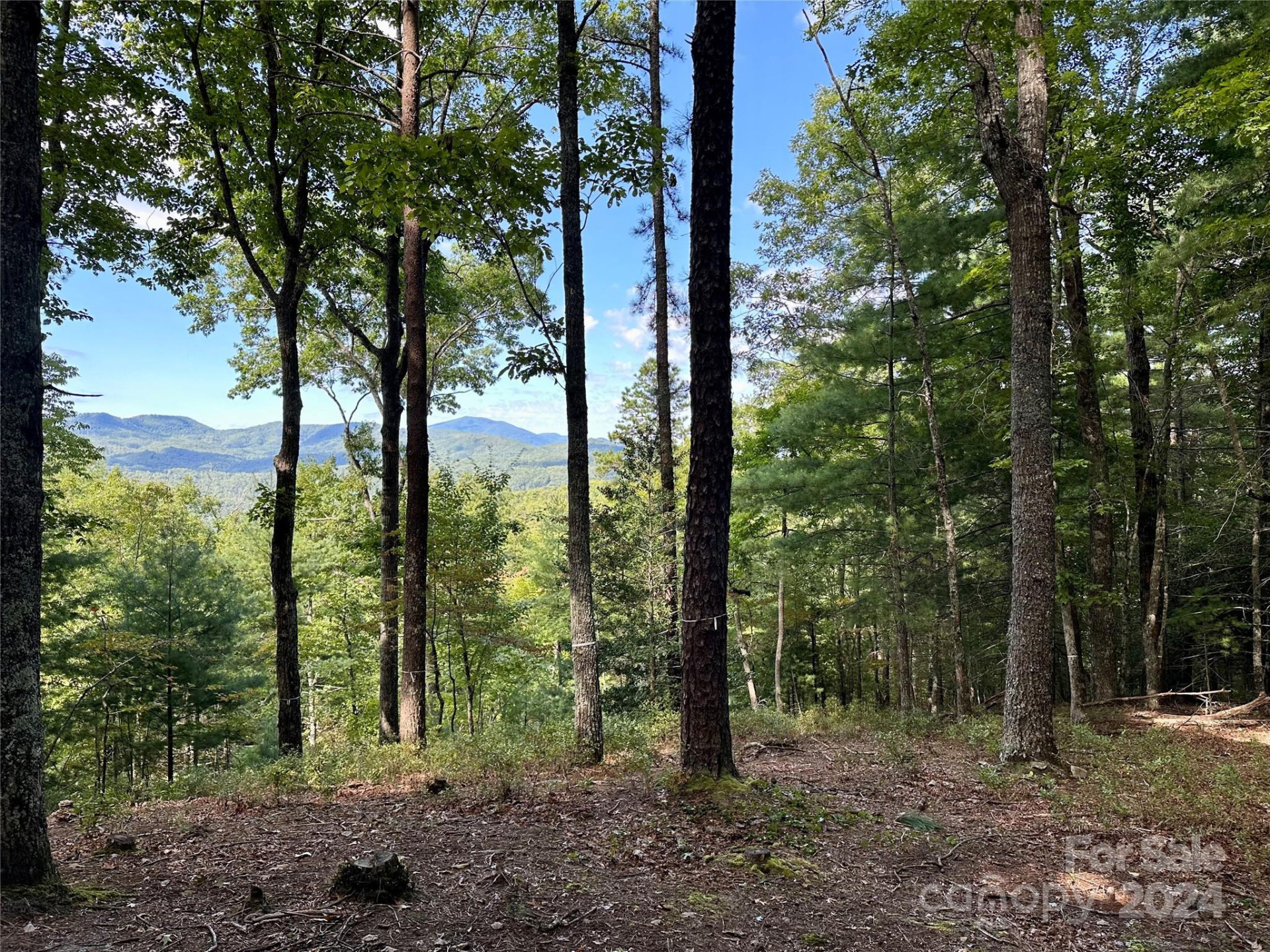 176 Winterberry Drive #17 - Photo 3