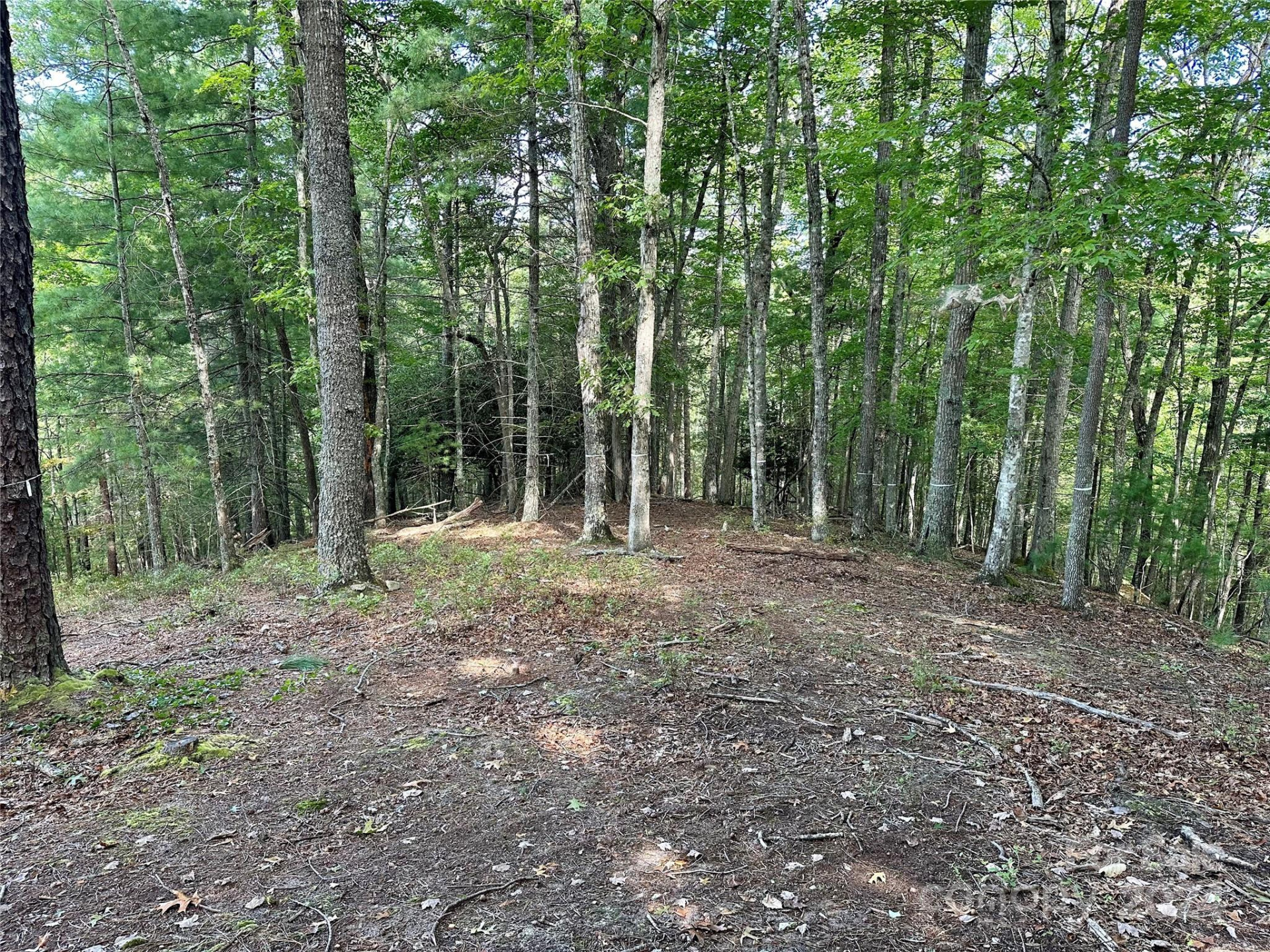 176 Winterberry Drive #17 - Photo 4