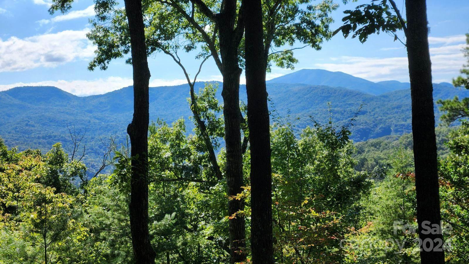 176 Winterberry Drive #17 - Photo 5