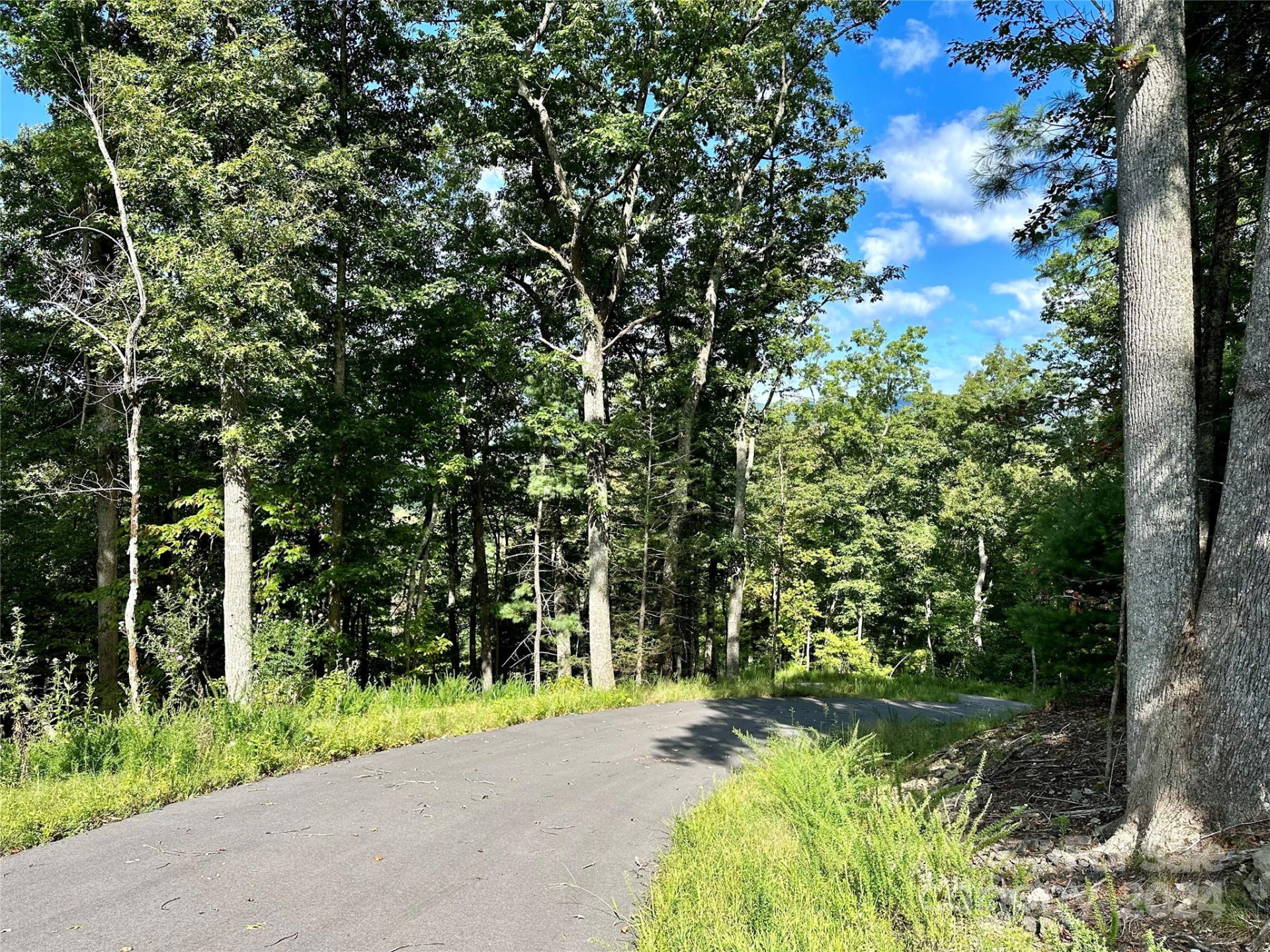 176 Winterberry Drive #17 - Photo 6