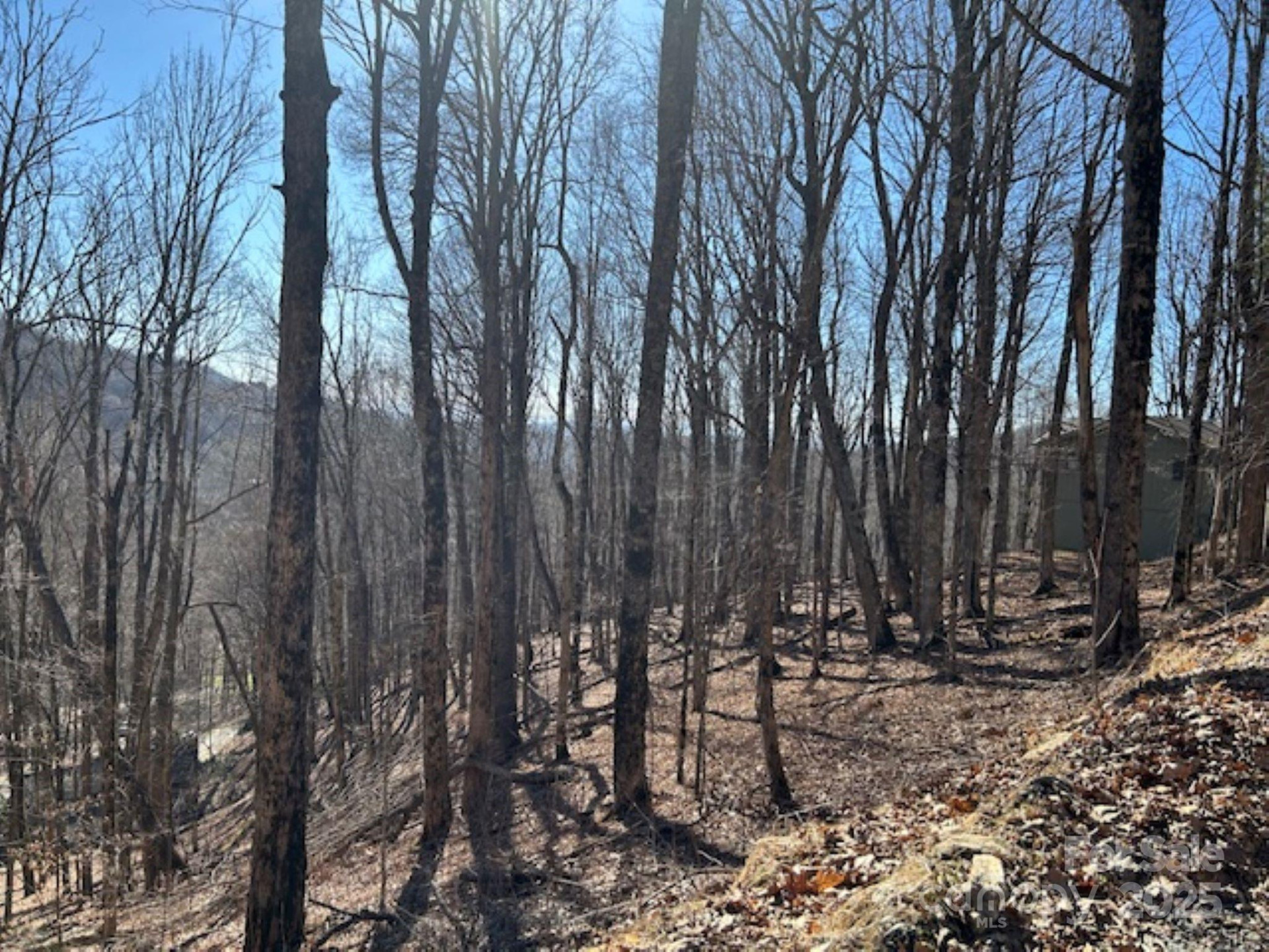 690 Oak Ridge Lane #690