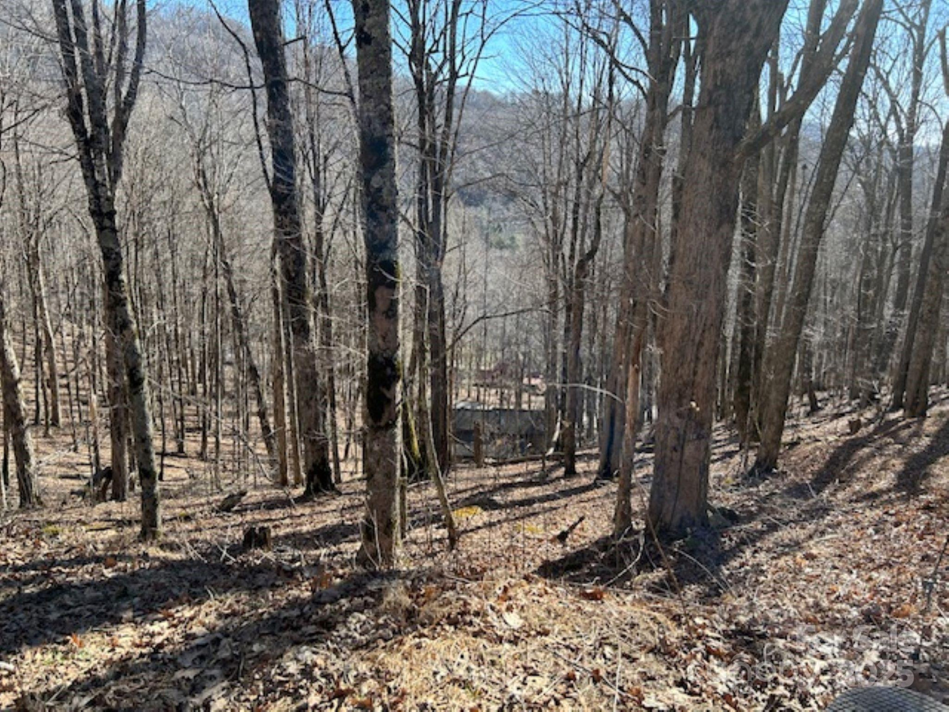 690 Oak Ridge Lane #690 - Photo 2