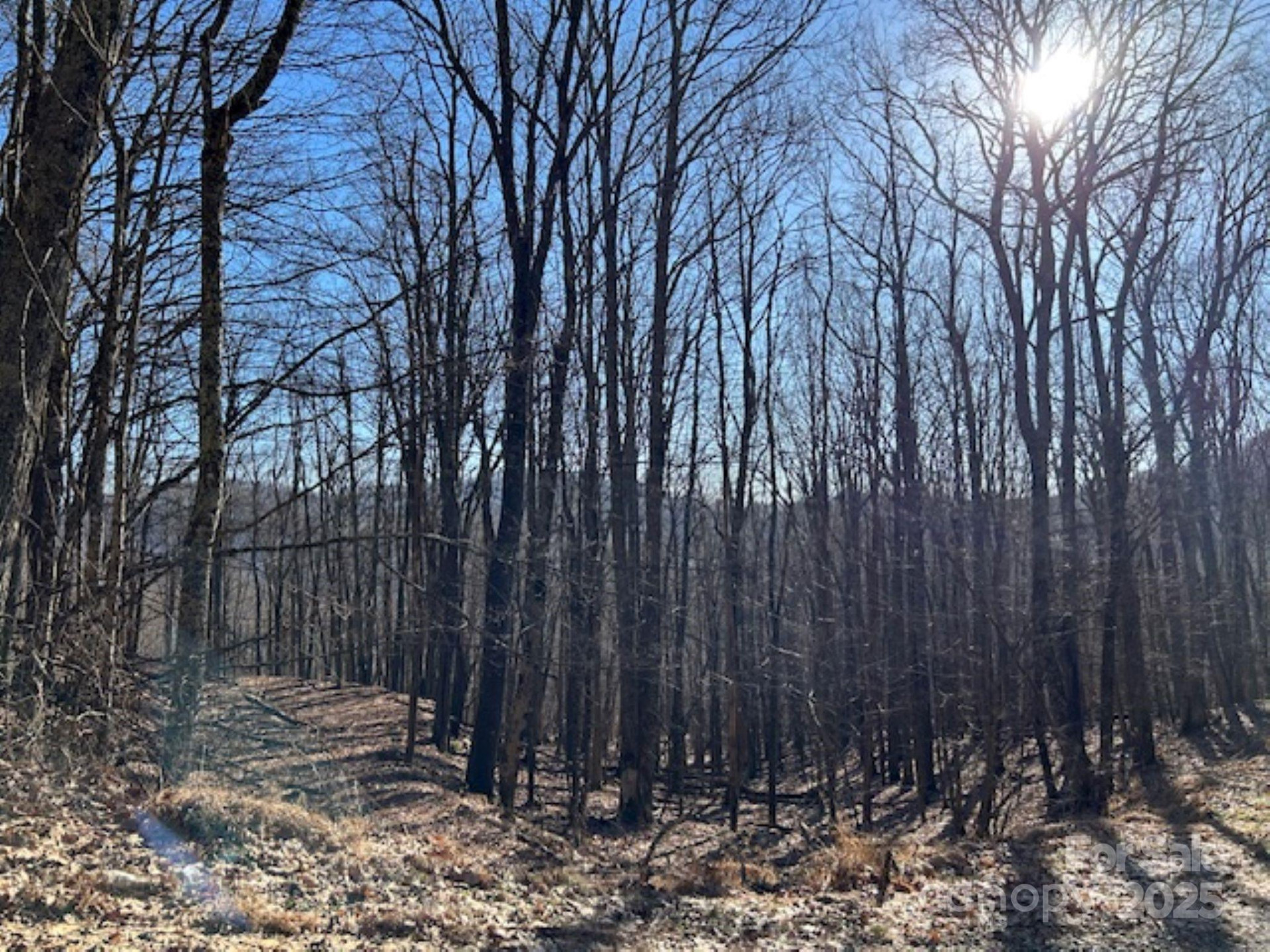 326 Hamlin Lane #57 - Photo 2