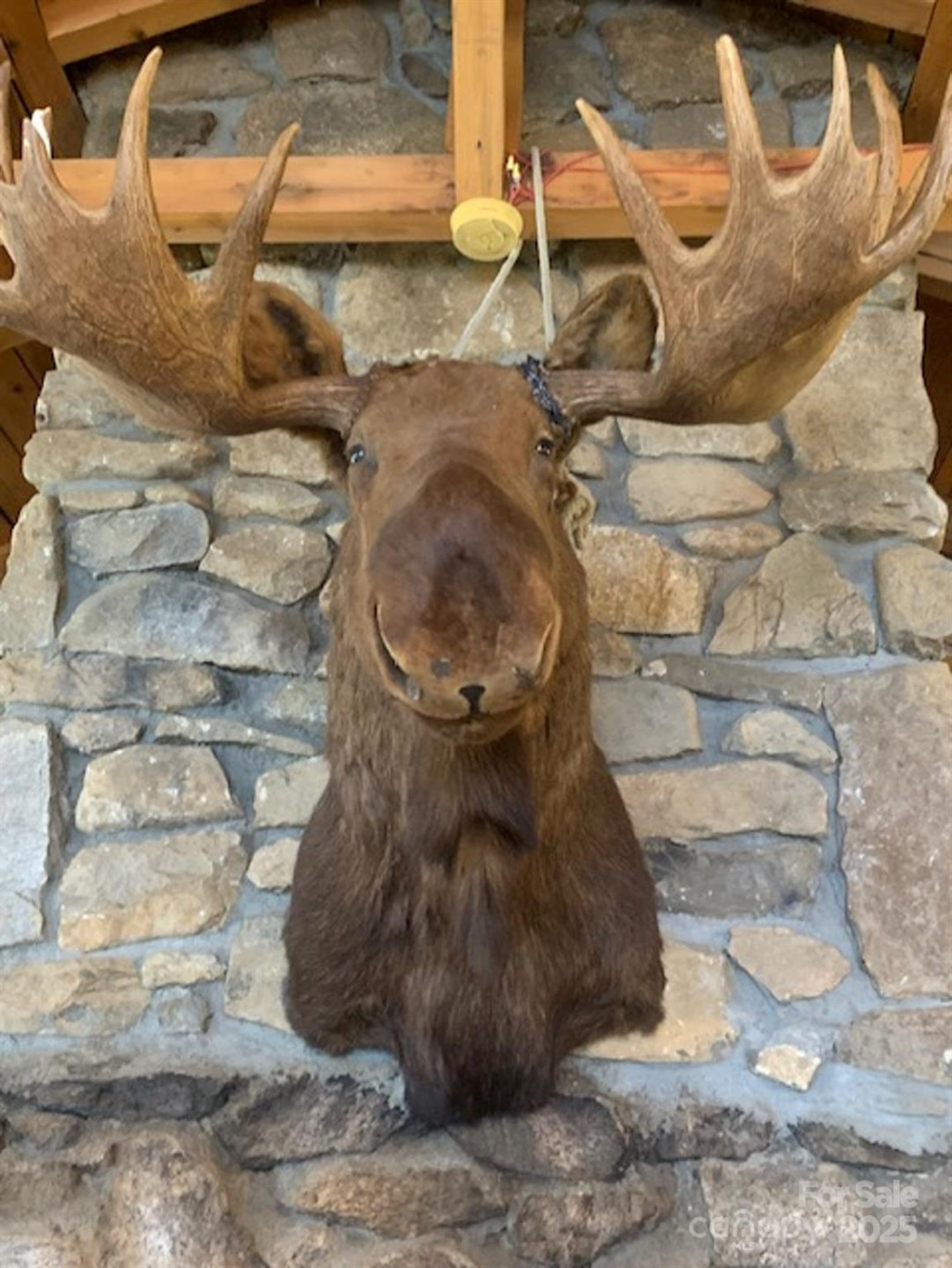 326 Hamlin Lane #57 - Photo 14