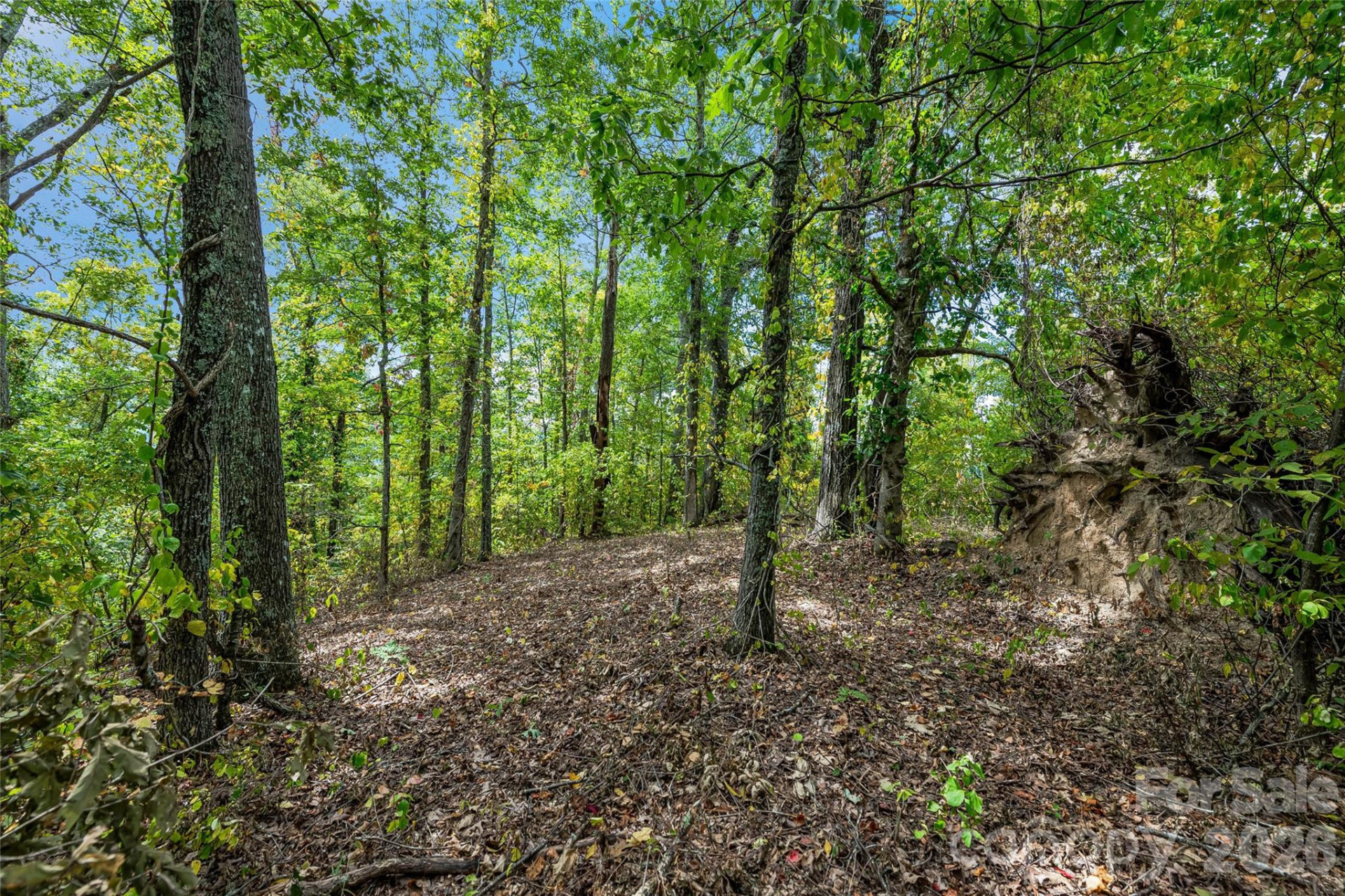 1380 Seven Glens Drive - Photo 2