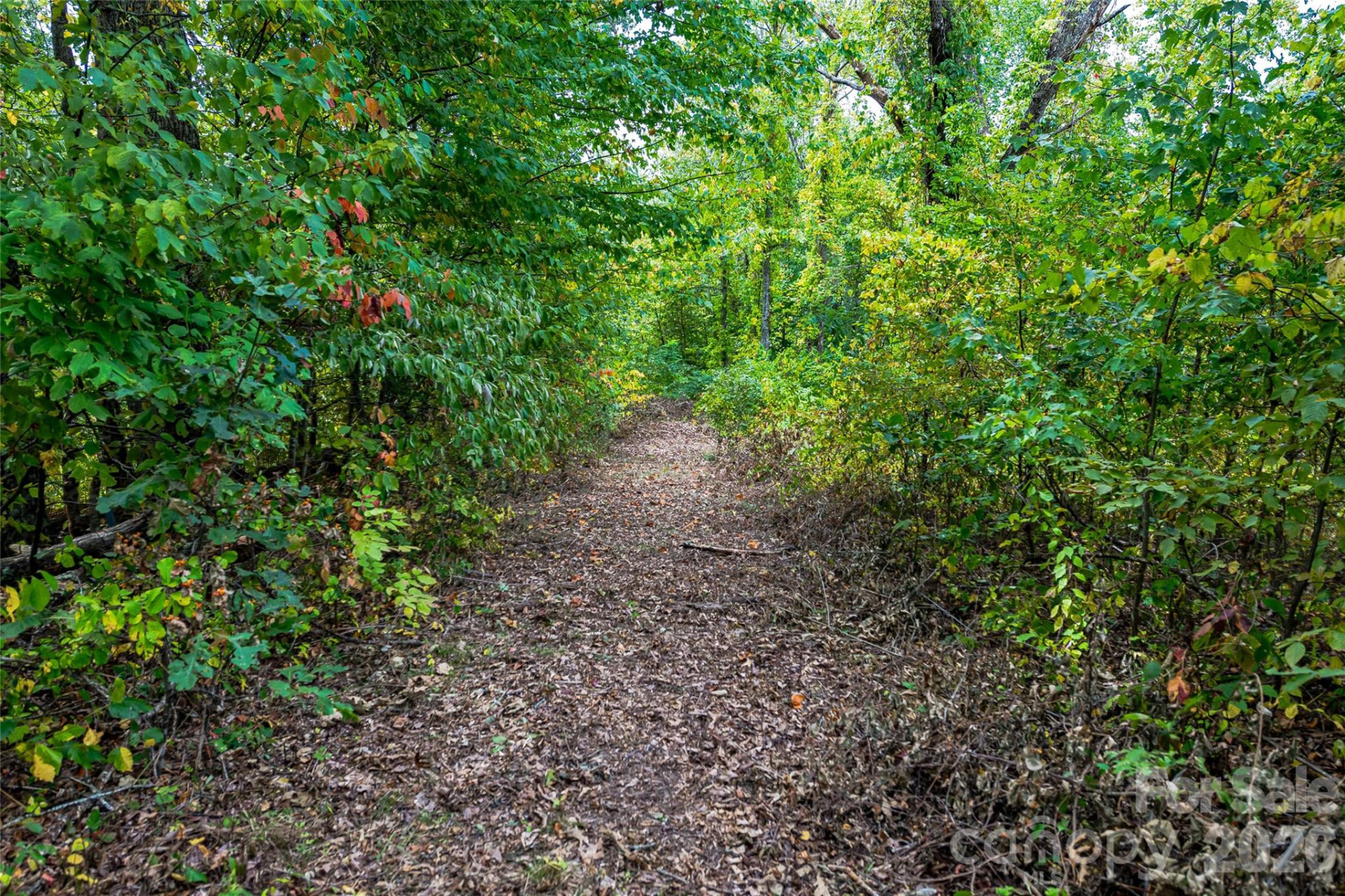 1380 Seven Glens Drive - Photo 17