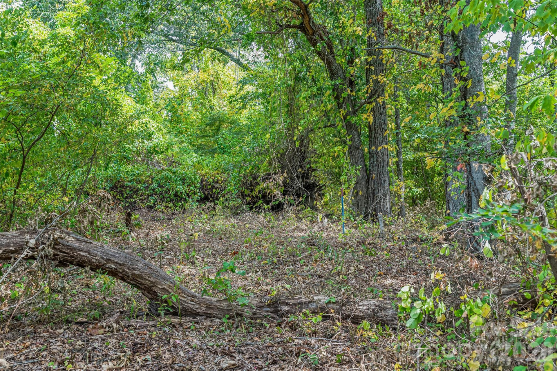 1380 Seven Glens Drive - Photo 18