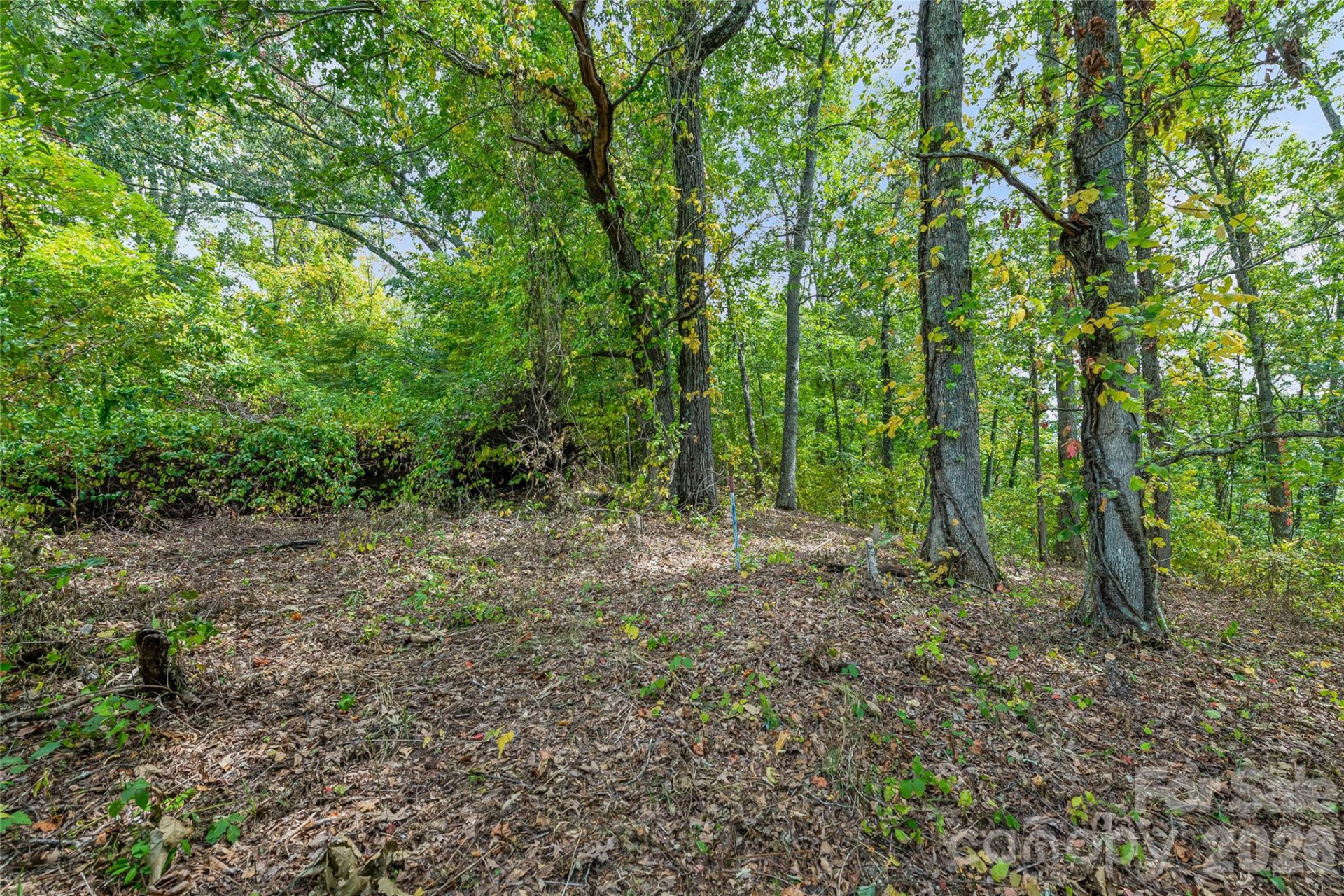 1380 Seven Glens Drive - Photo 3