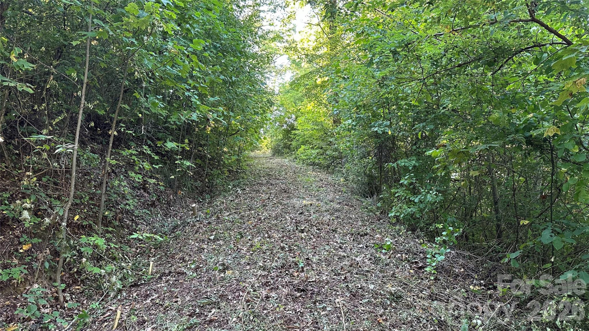 1380 Seven Glens Drive - Photo 5