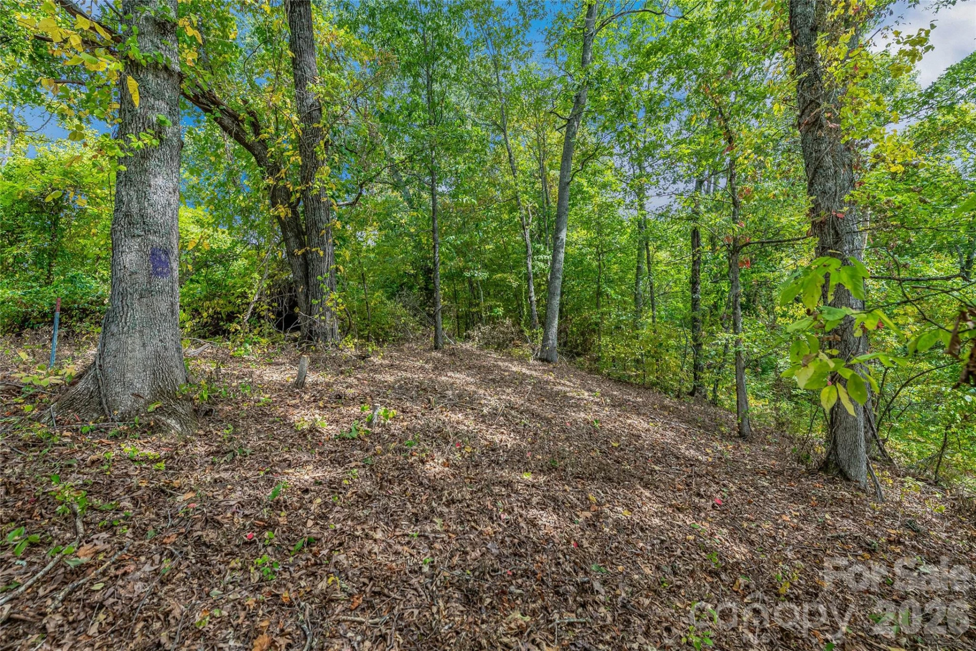 1380 Seven Glens Drive - Photo 6