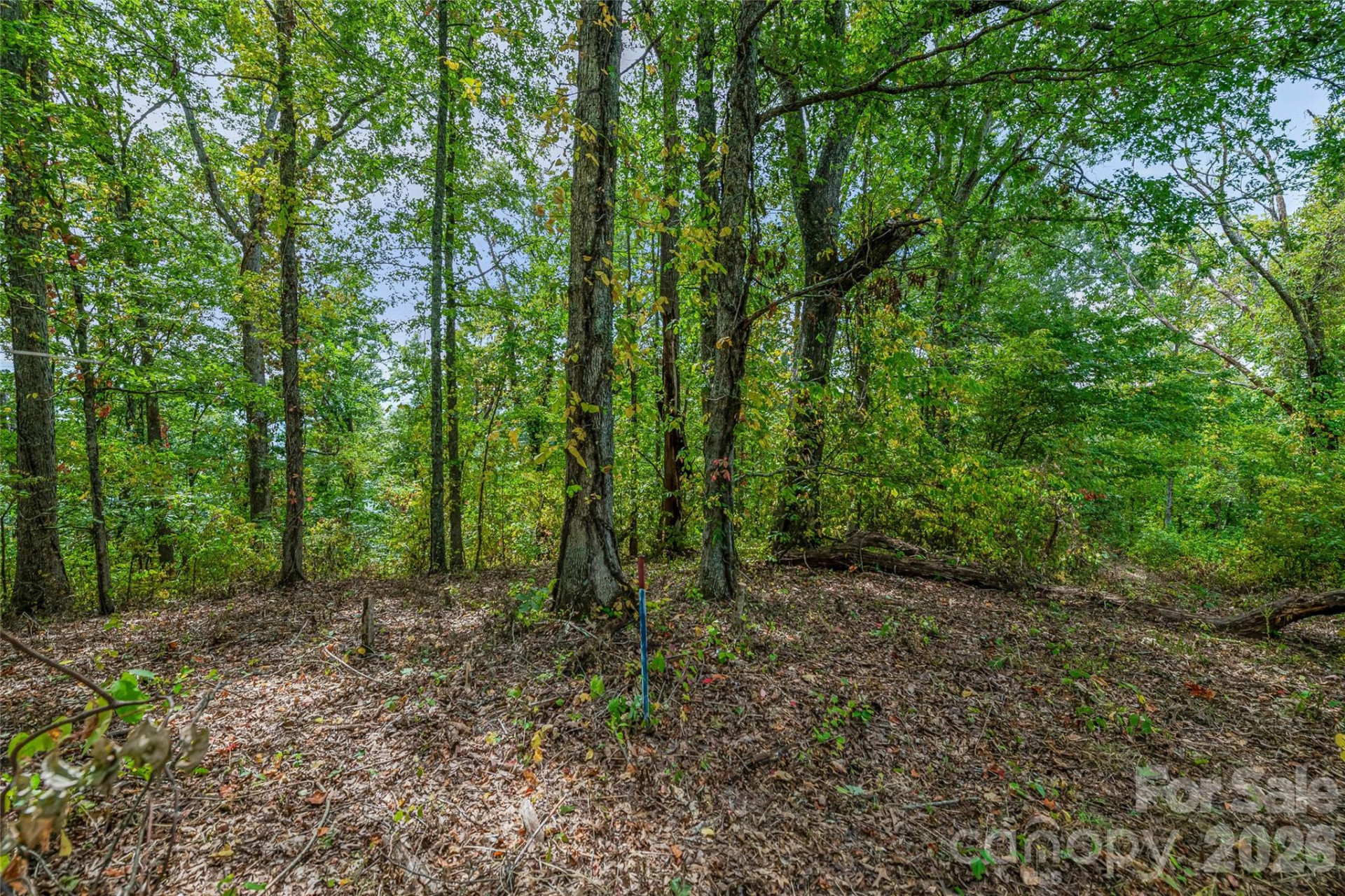 1380 Seven Glens Drive - Photo 7