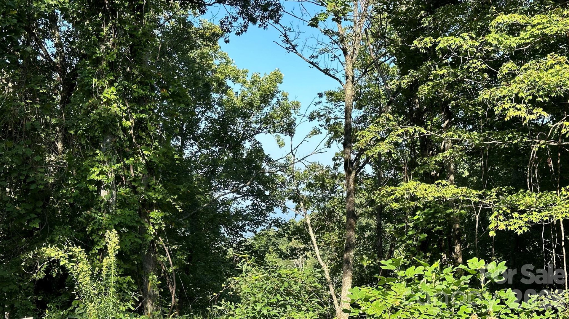 1380 Seven Glens Drive - Photo 10