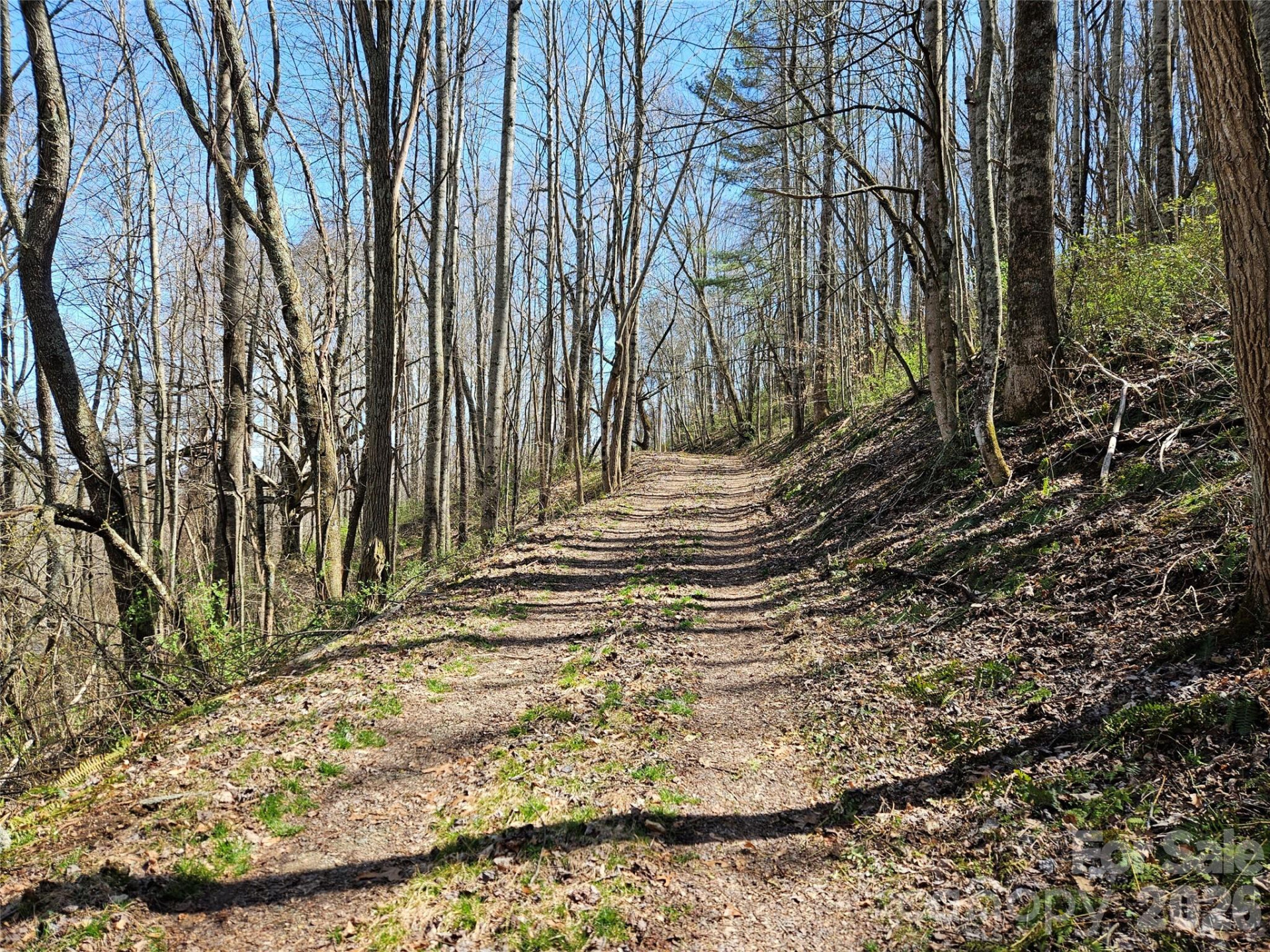 1200 Rocky Knob Road - Photo 18