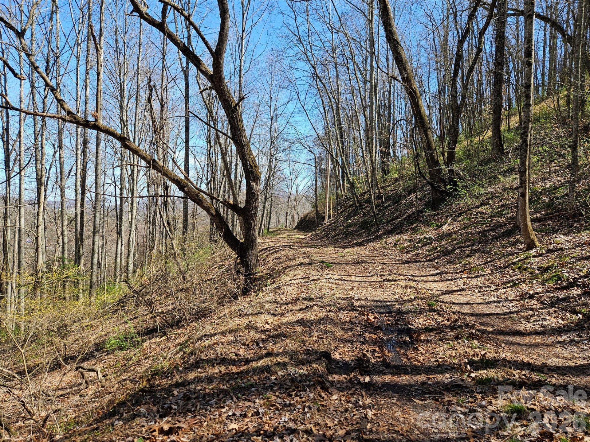 1200 Rocky Knob Road - Photo 19