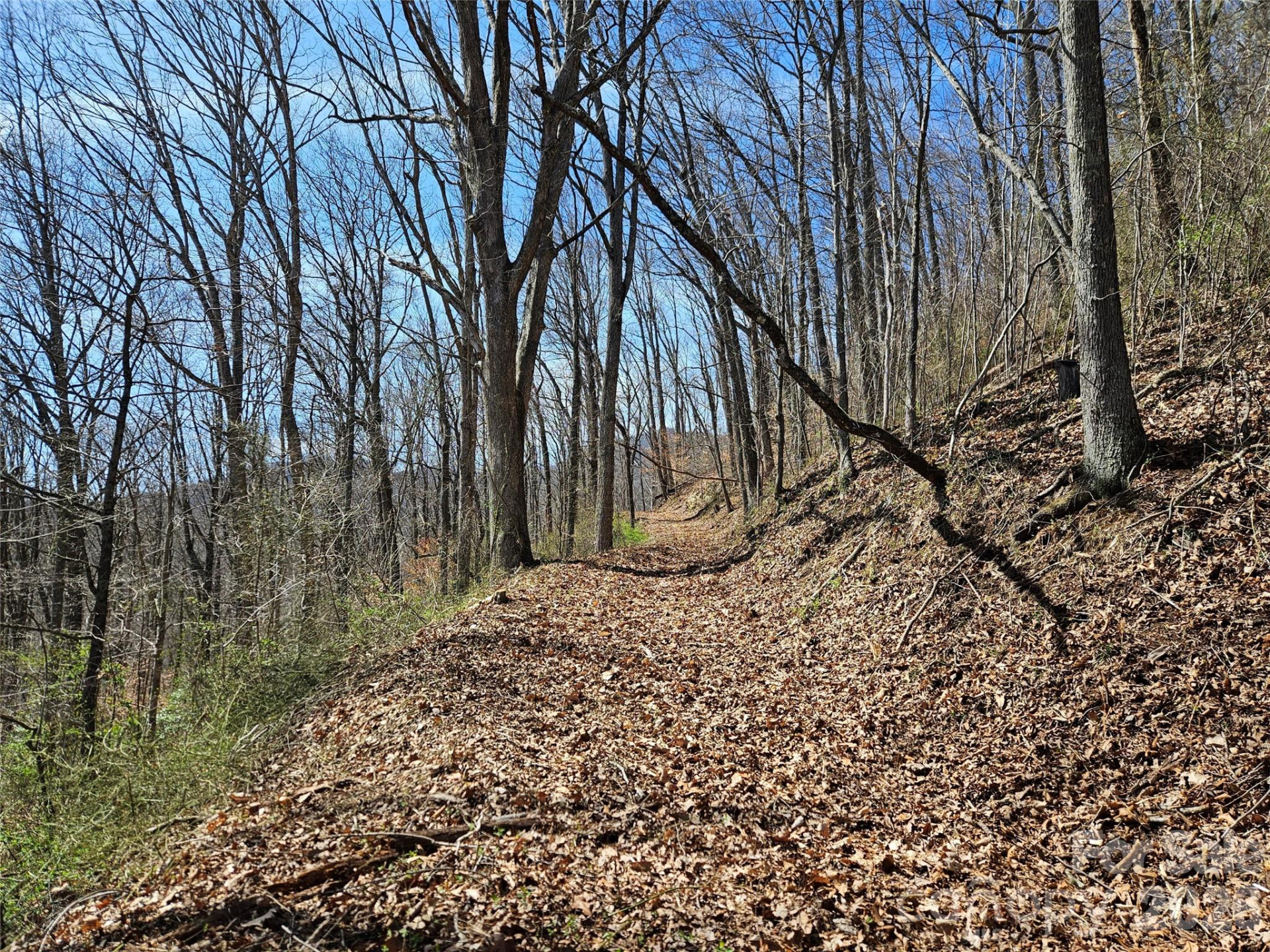 1200 Rocky Knob Road - Photo 29