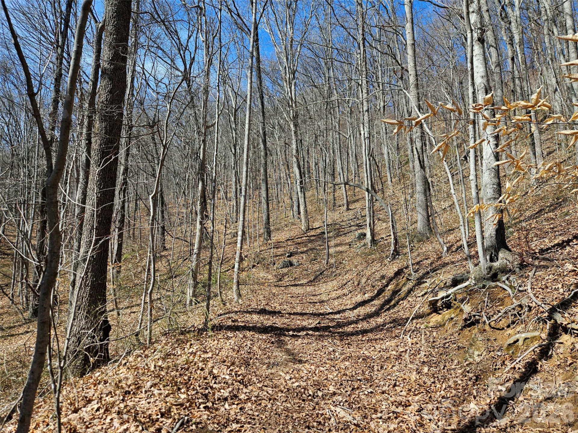 1200 Rocky Knob Road - Photo 31