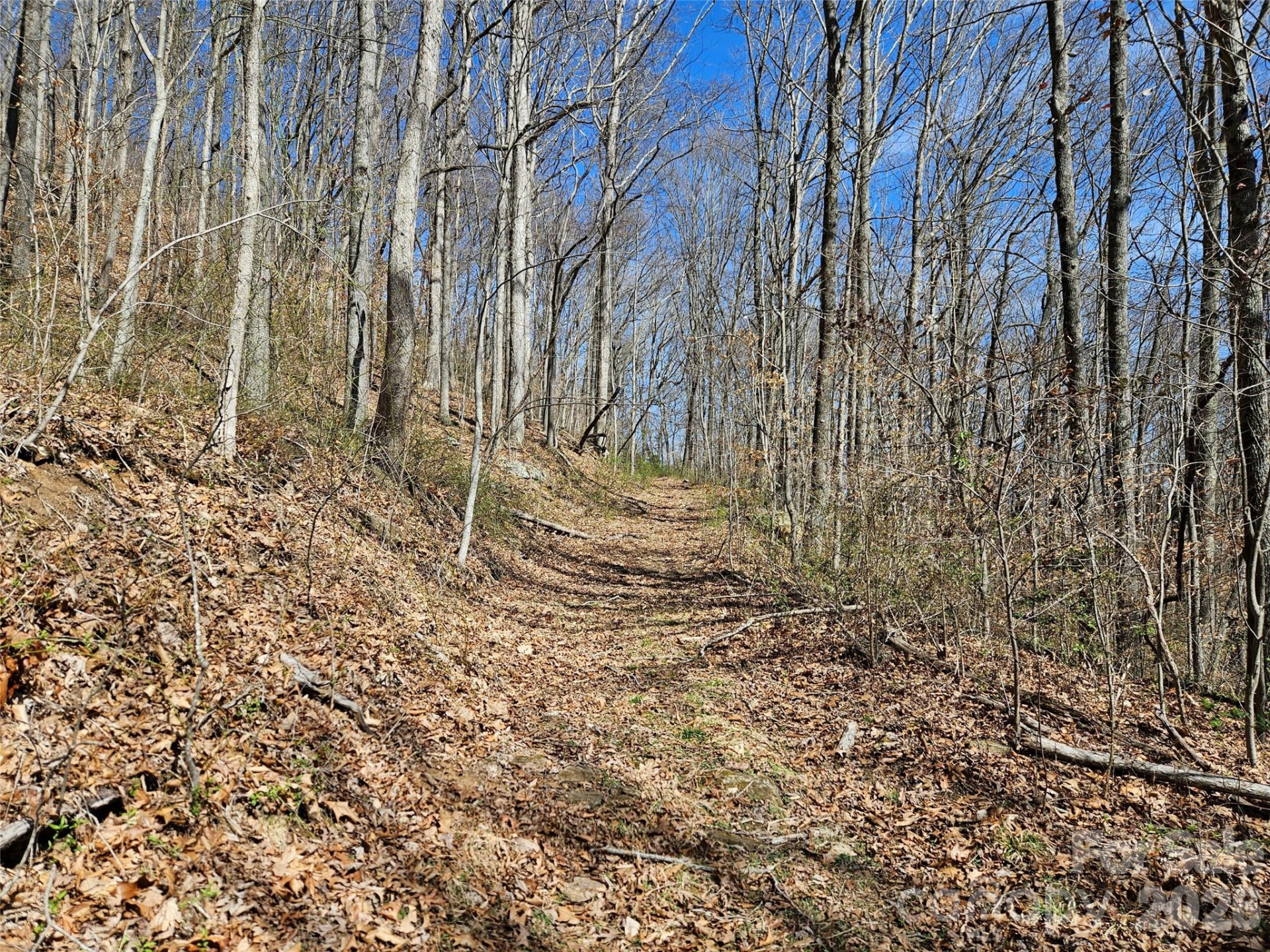 1200 Rocky Knob Road - Photo 32