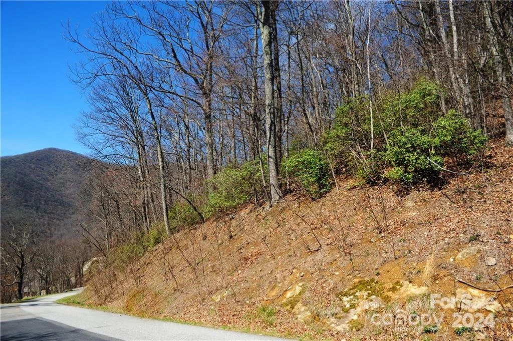 35 Wedgewood Terrace #1104 - Photo 2