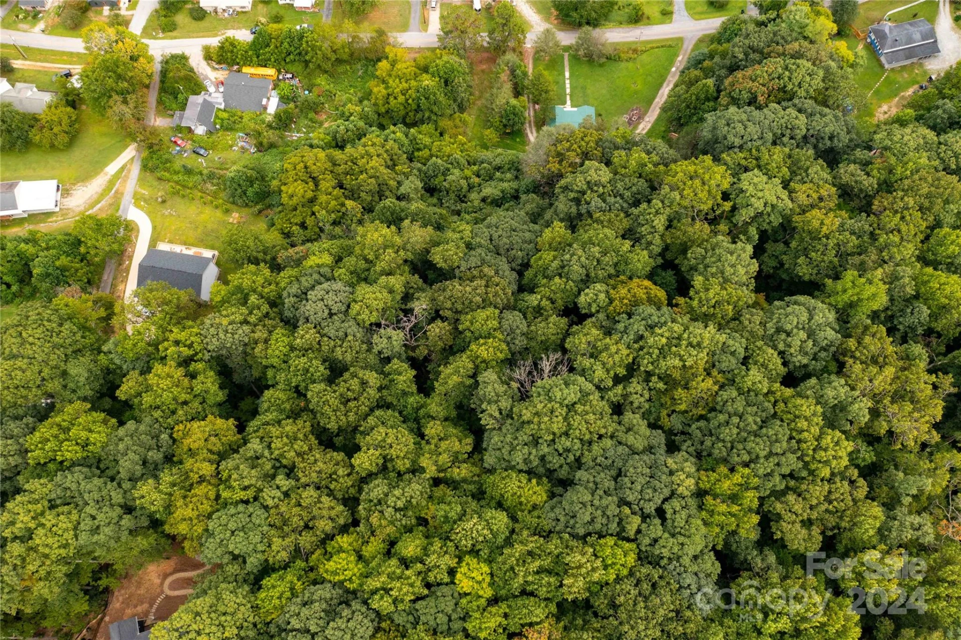603 Halsbury Avenue - Photo 10