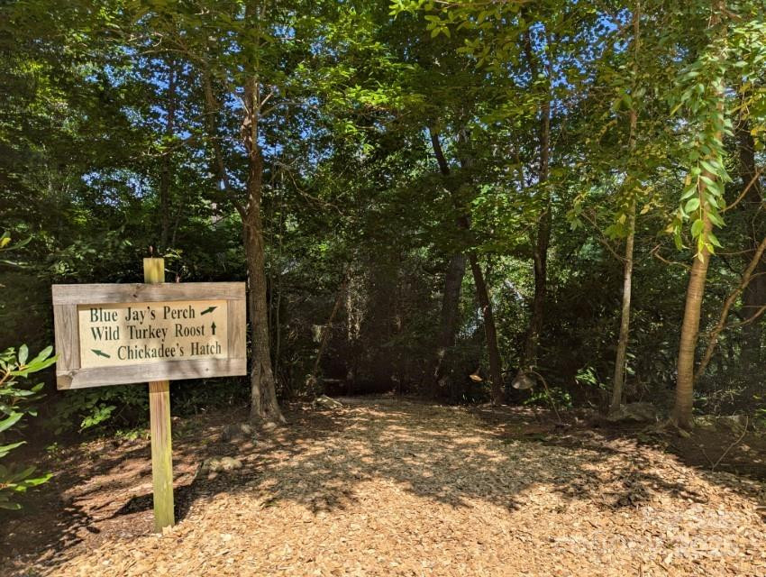 5 Chaucer Road - Photo 5