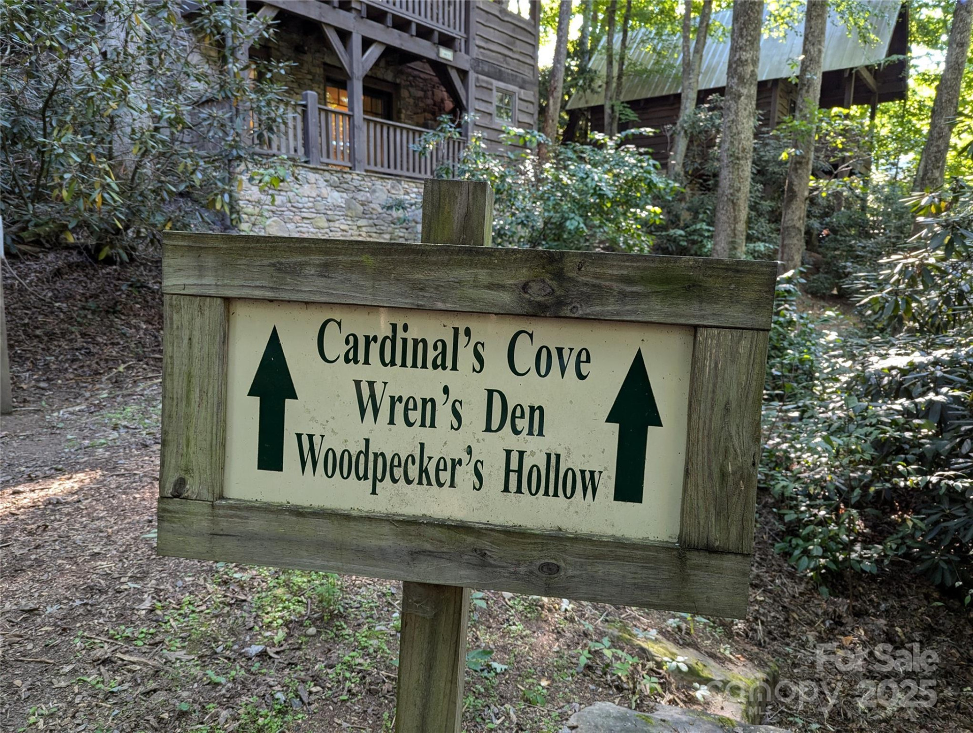 5 Chaucer Road - Photo 6