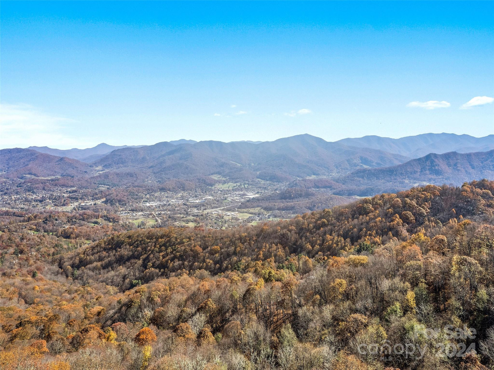 83.69 Acres Hummingbird Lane - Photo 2