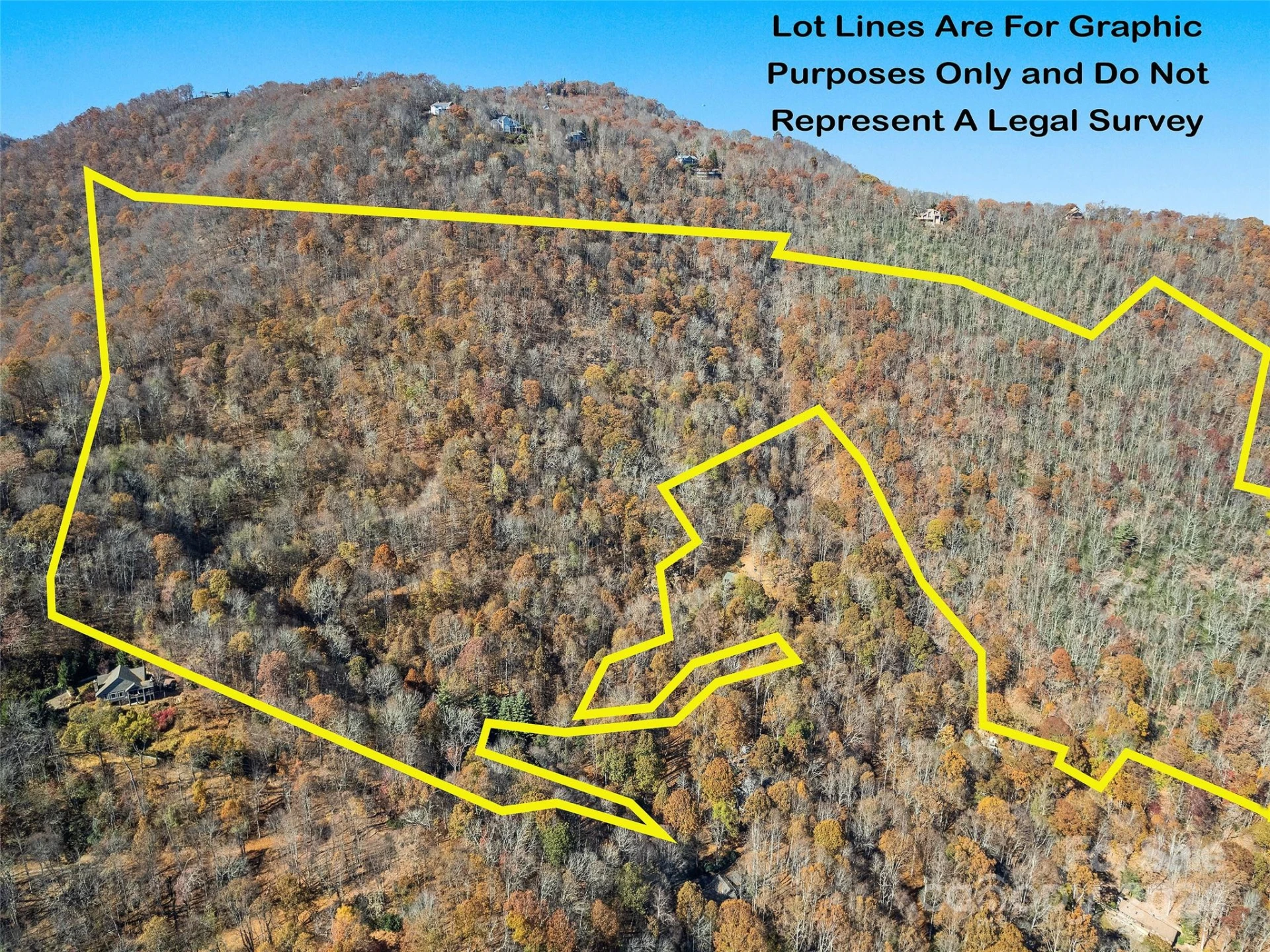 83.69 Acres Hummingbird Lane - Photo 3