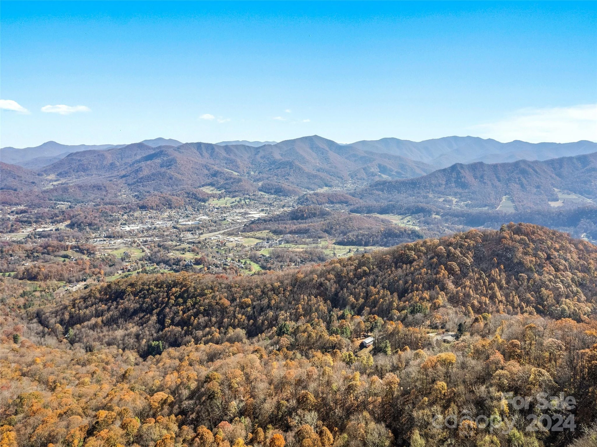 83.69 Acres Hummingbird Lane - Photo 4