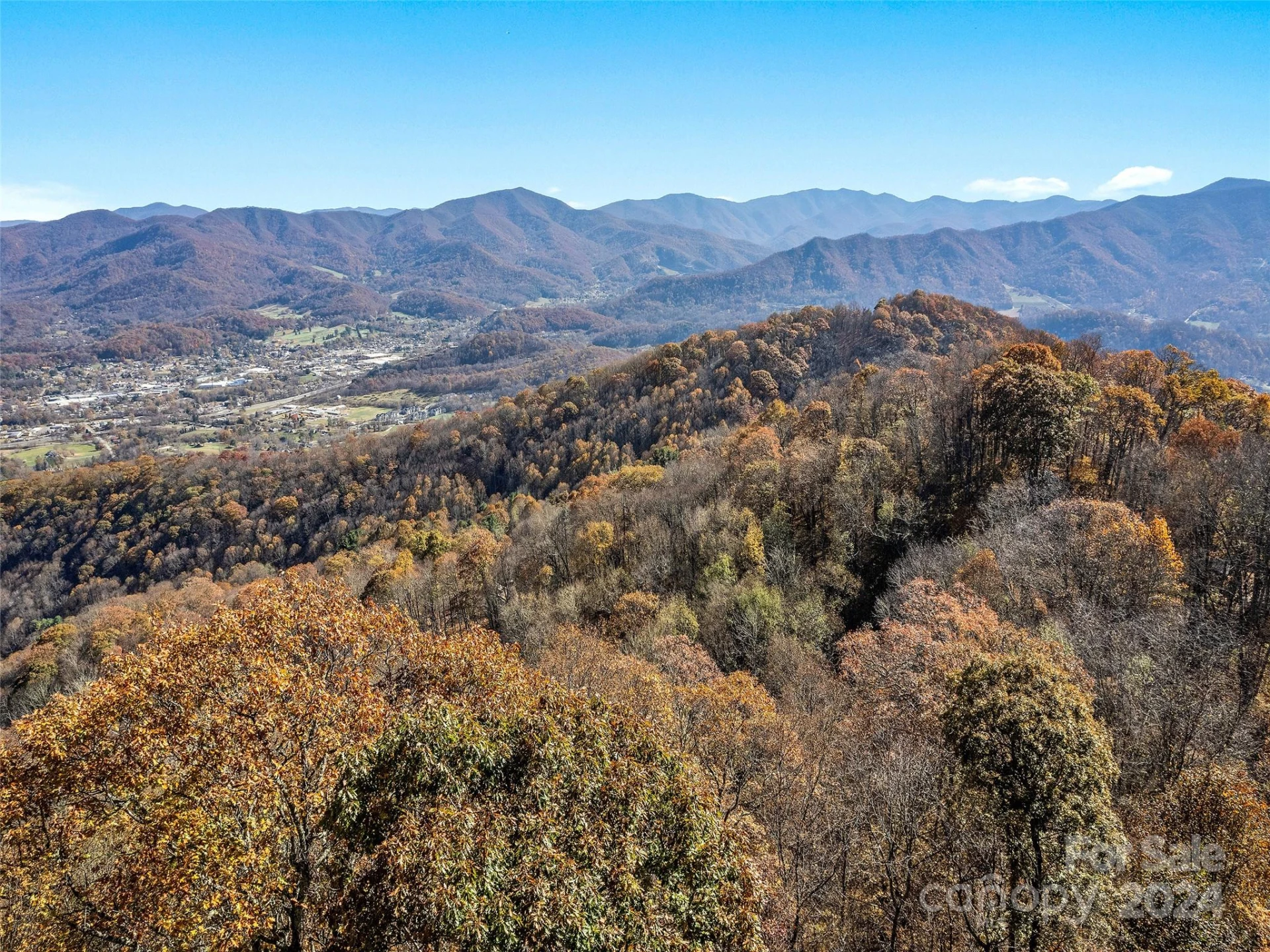 83.69 Acres Hummingbird Lane - Photo 6