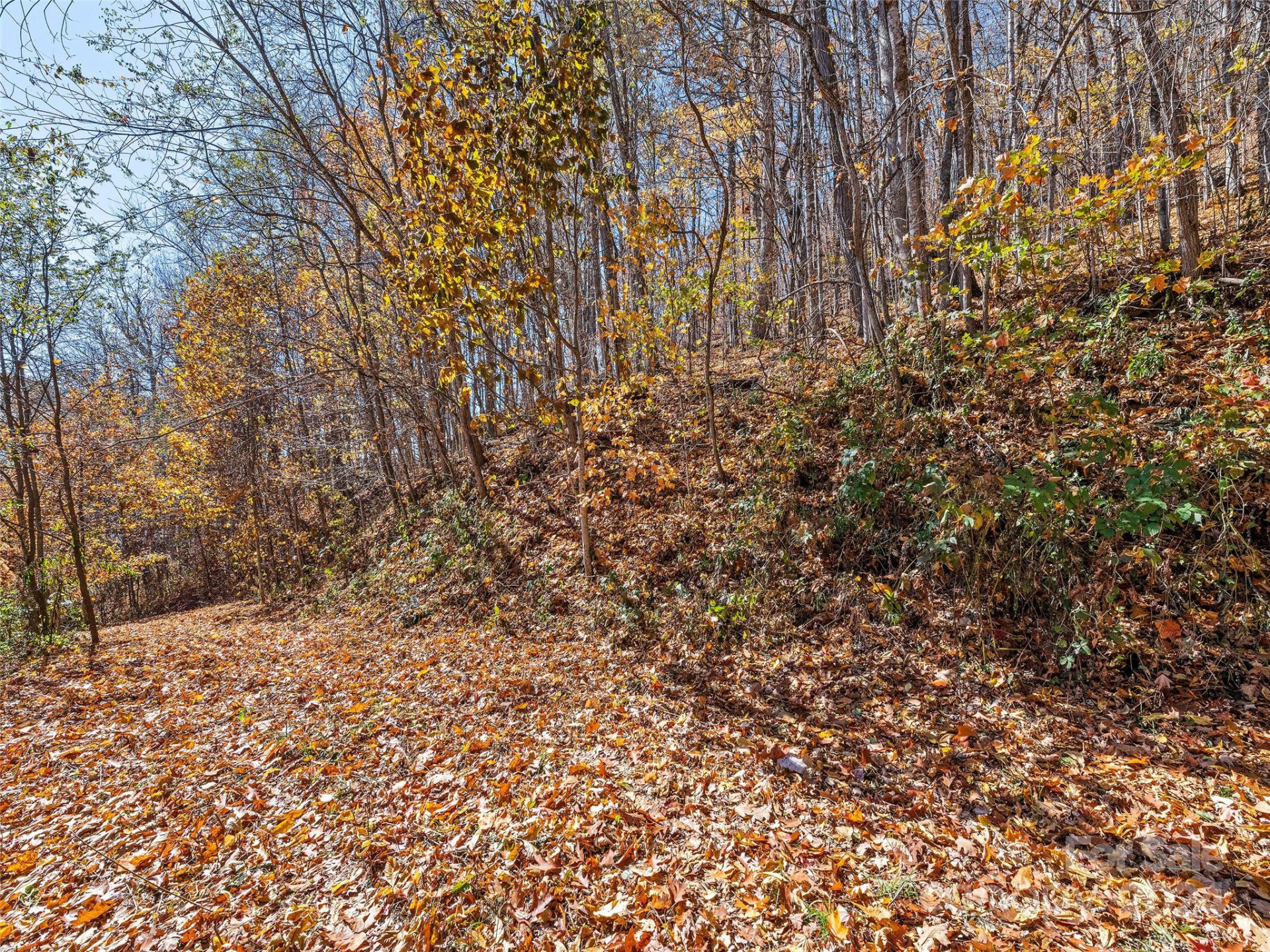 83.69 Acres Hummingbird Lane - Photo 8