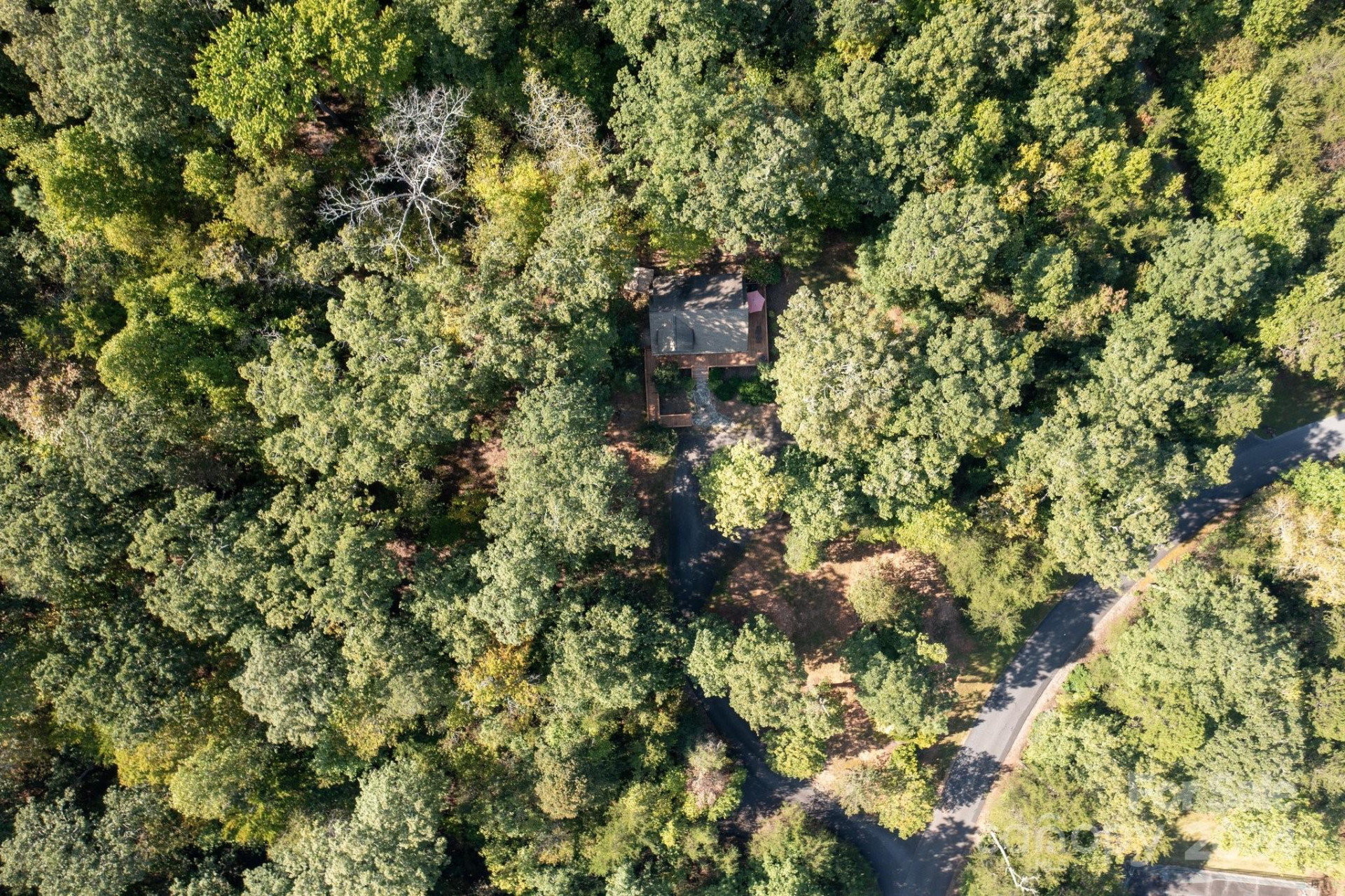 117 Laurel Lakes Parkway - Photo 24